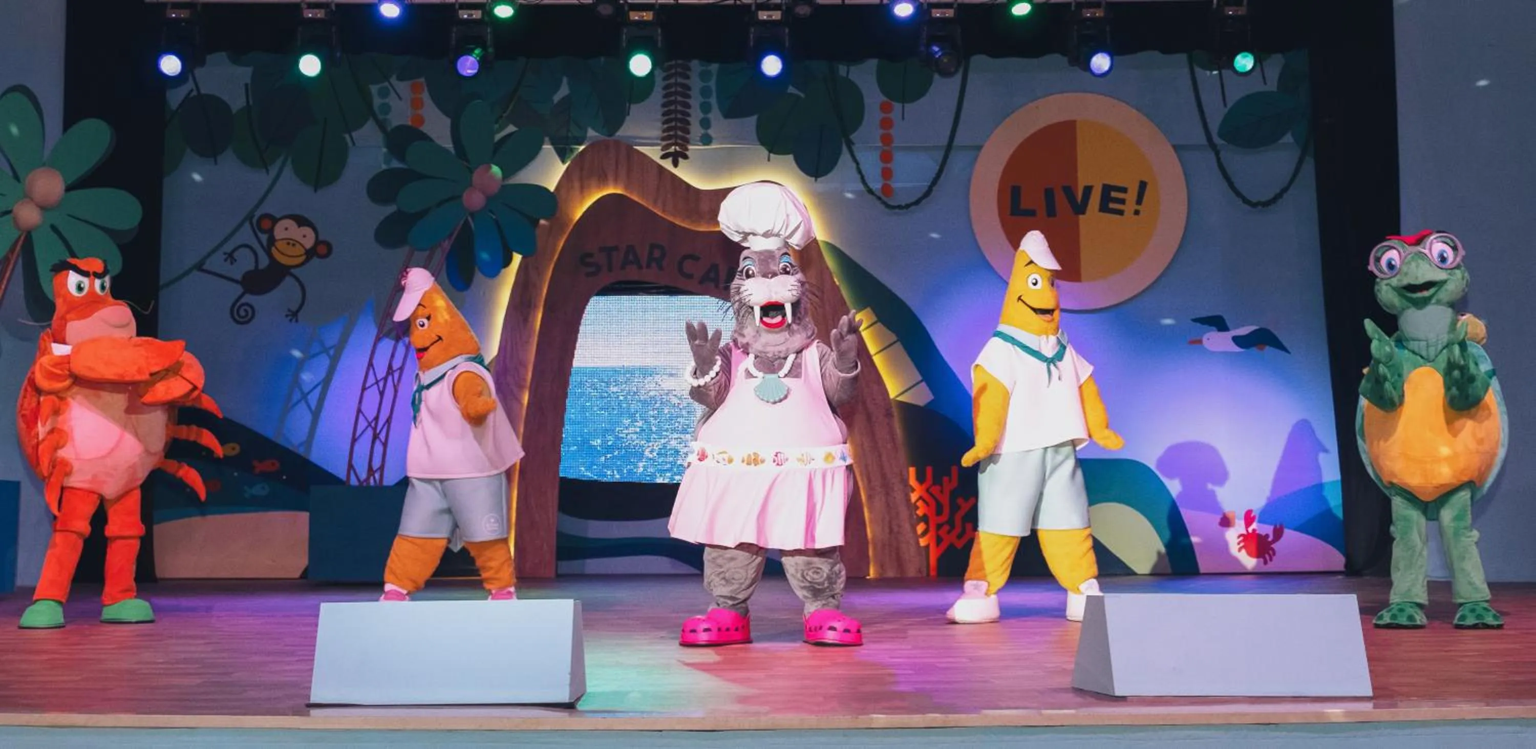 Activities in Iberostar Selection Paraíso Maya - All Inclusive