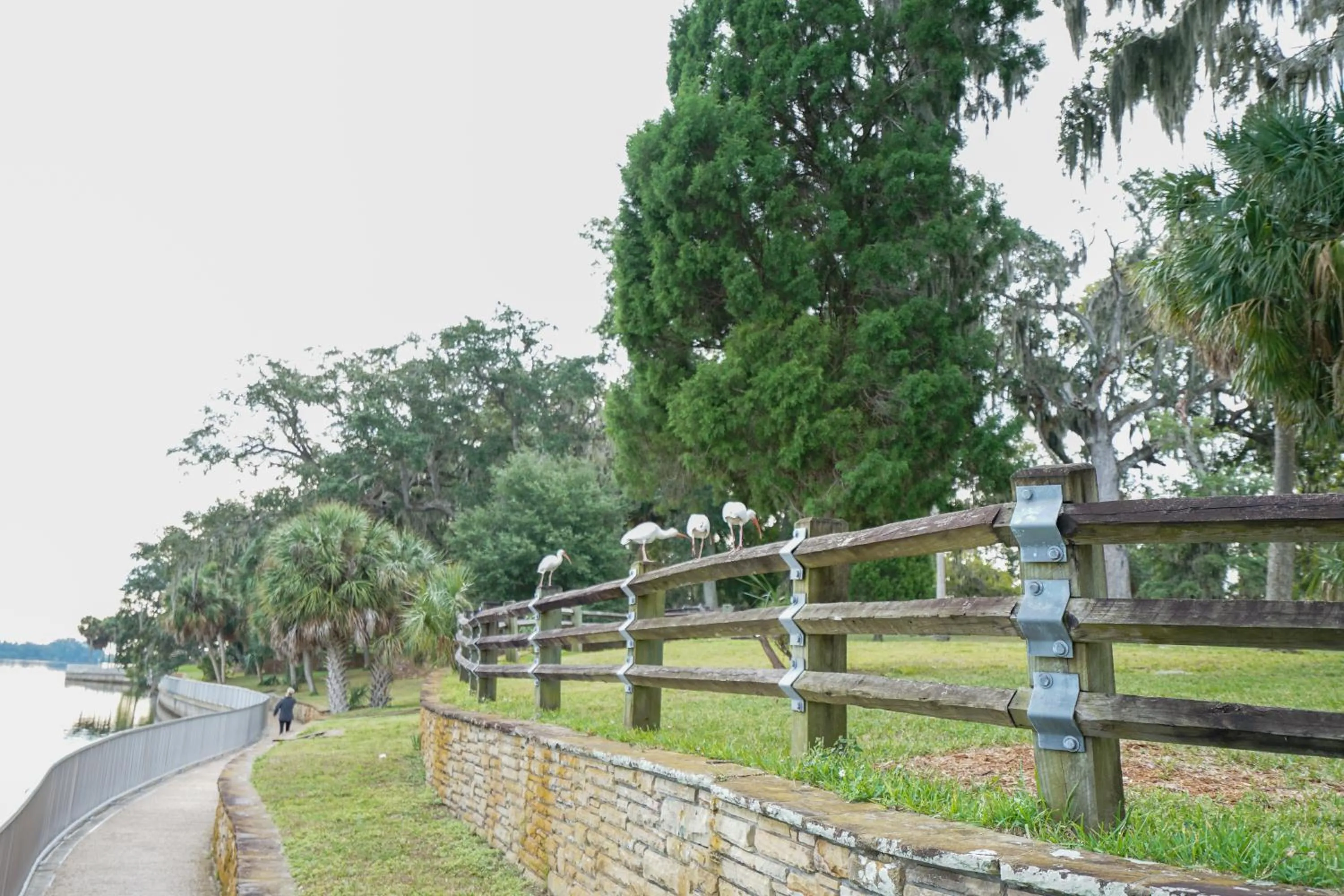 Nearby landmark in Mar Bay Exclusive Suites