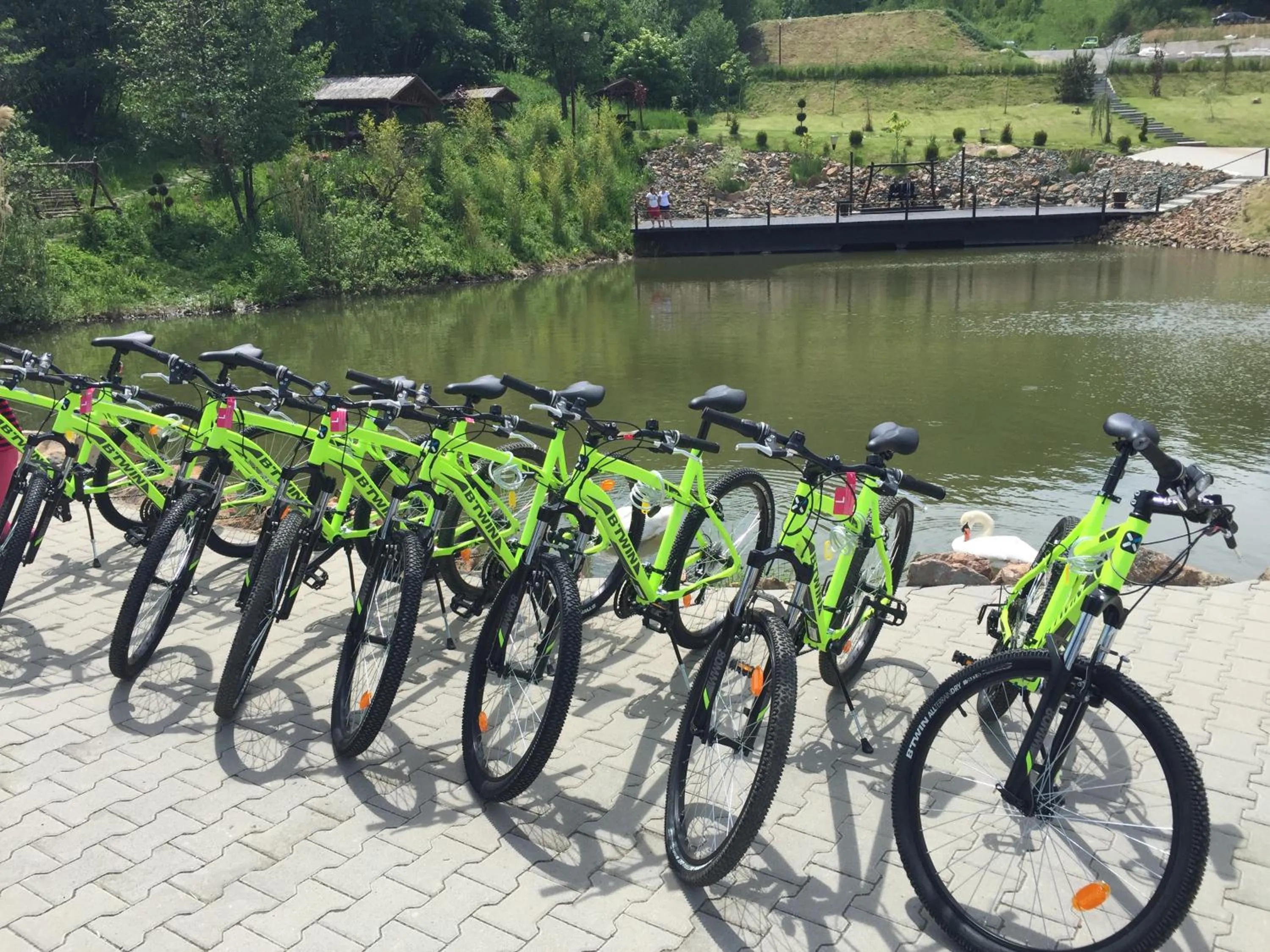 Cycling in Wonderland Cluj Resort