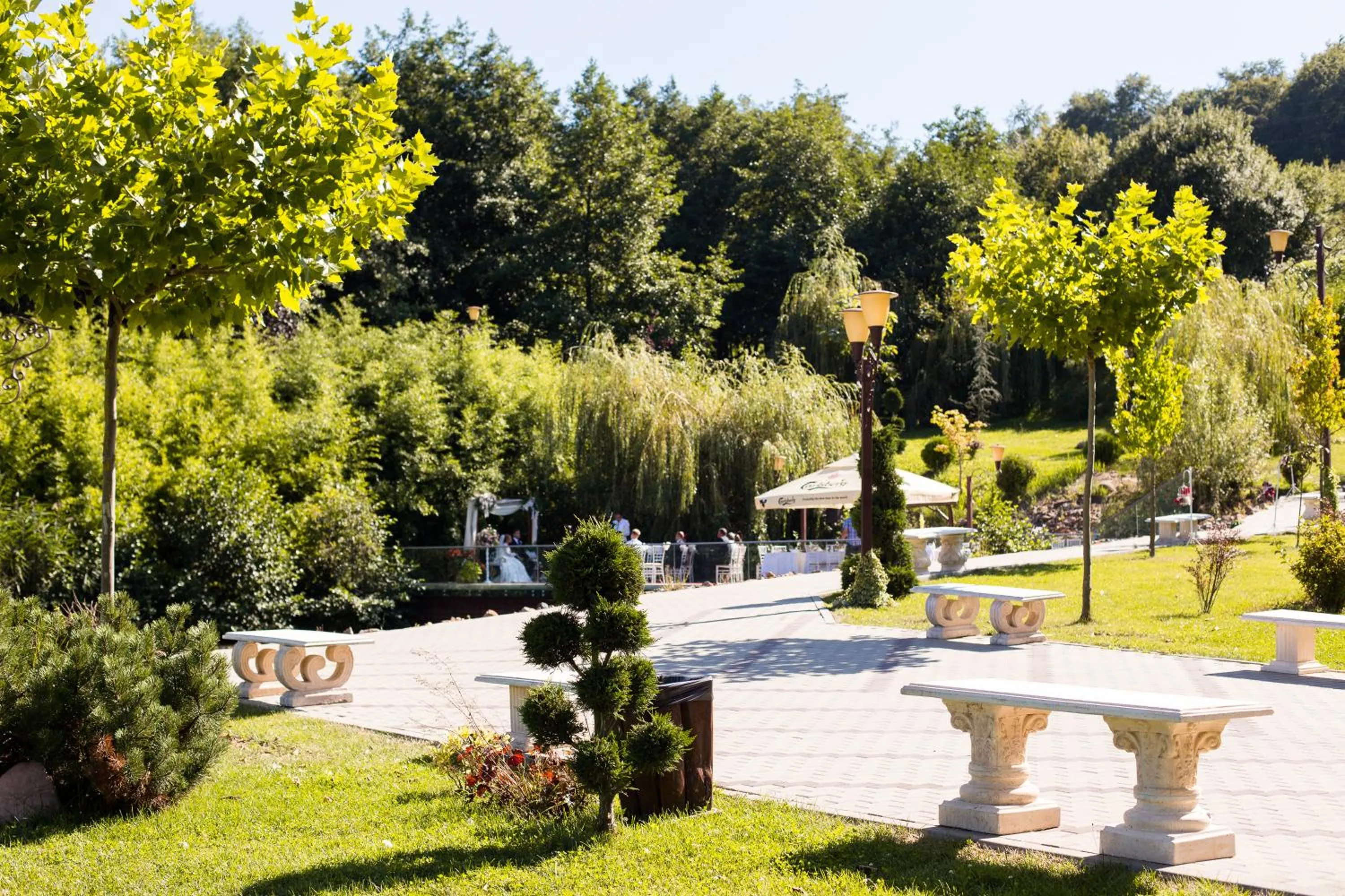 Natural landscape in Wonderland Cluj Resort