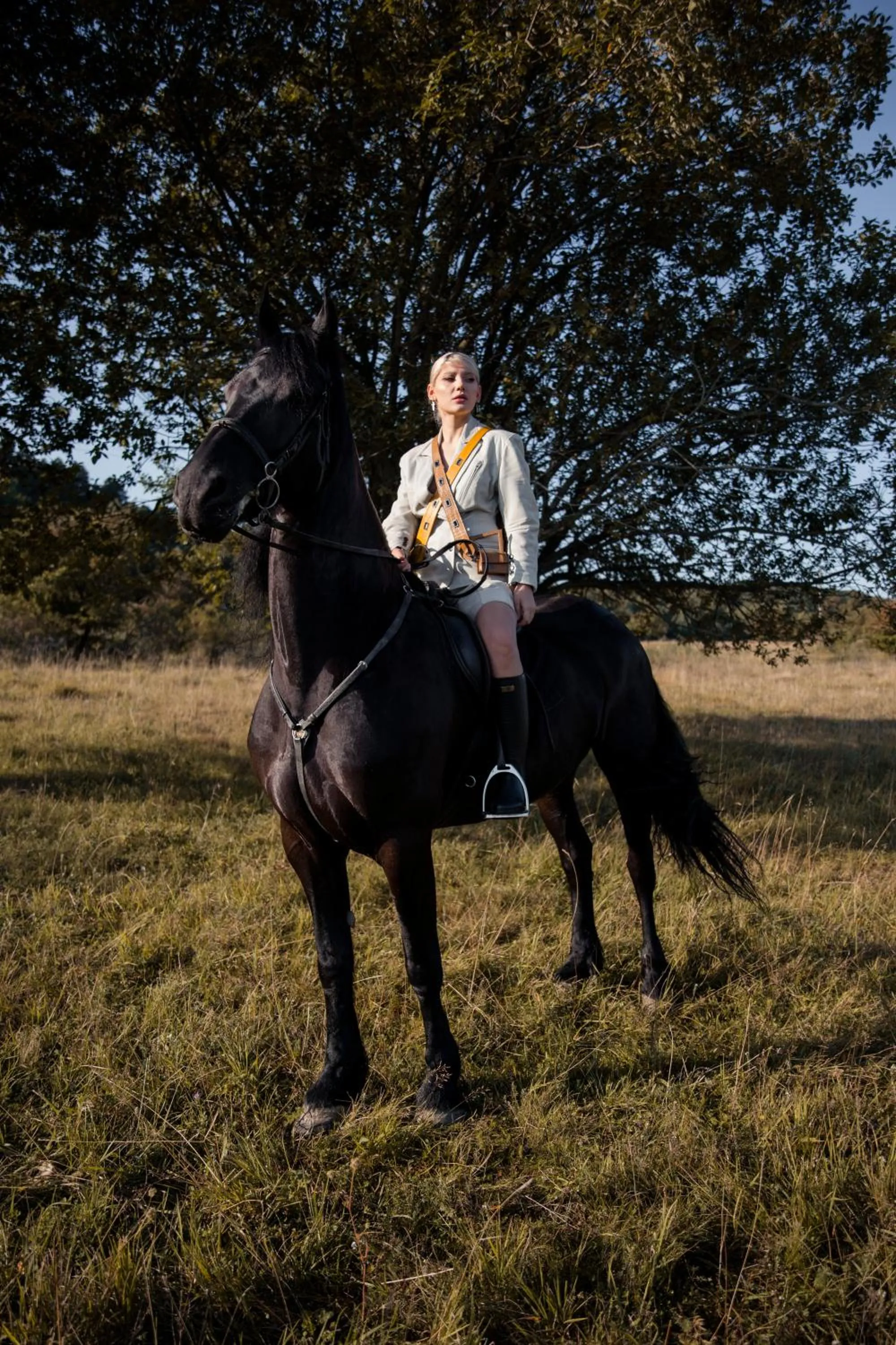 Horse-riding in Wonderland Cluj Resort
