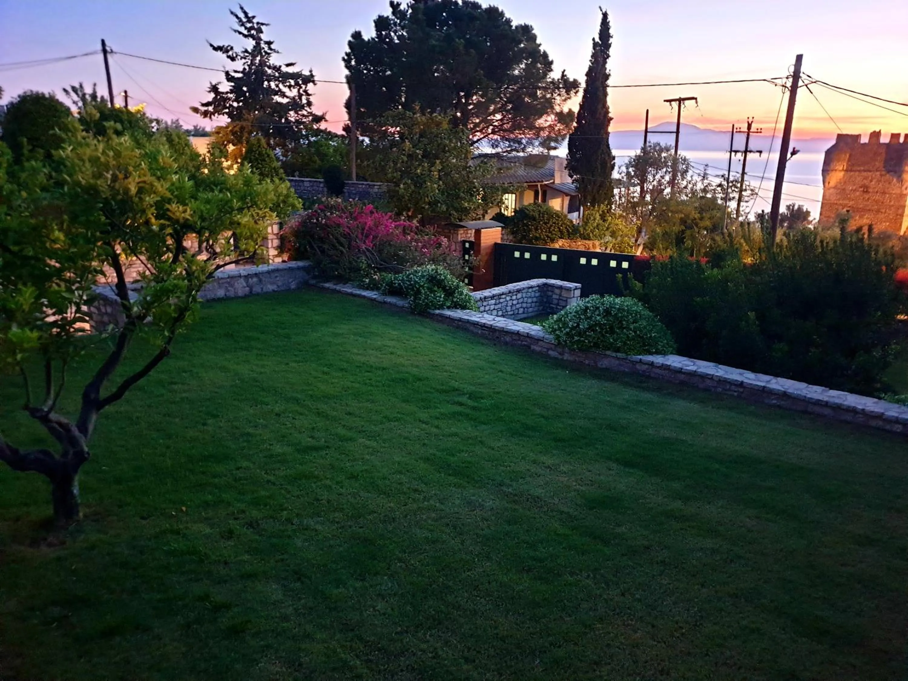 Elaianthos