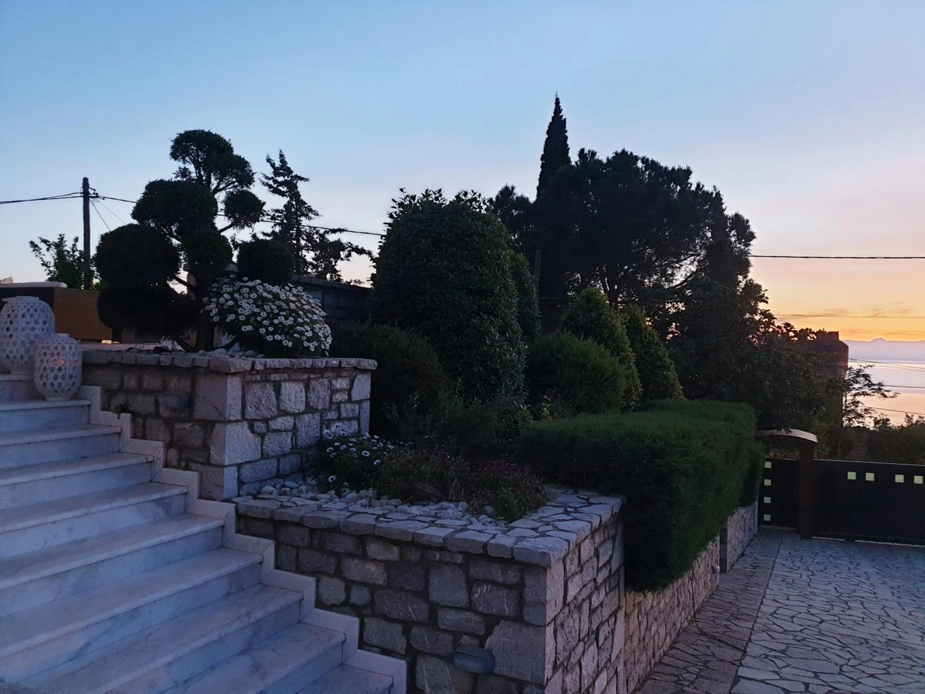 Elaianthos
