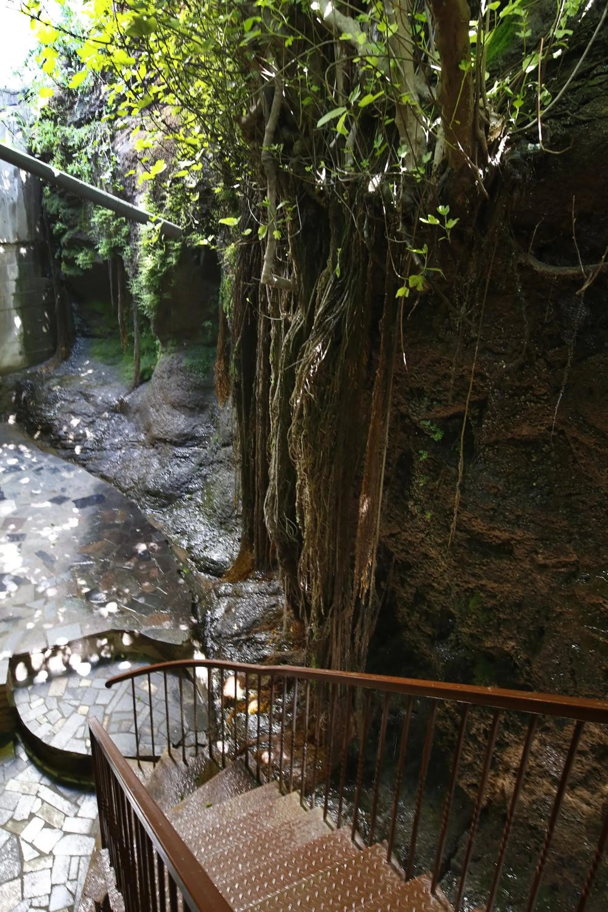 Natural landscape in Bloom Boutique Hotel