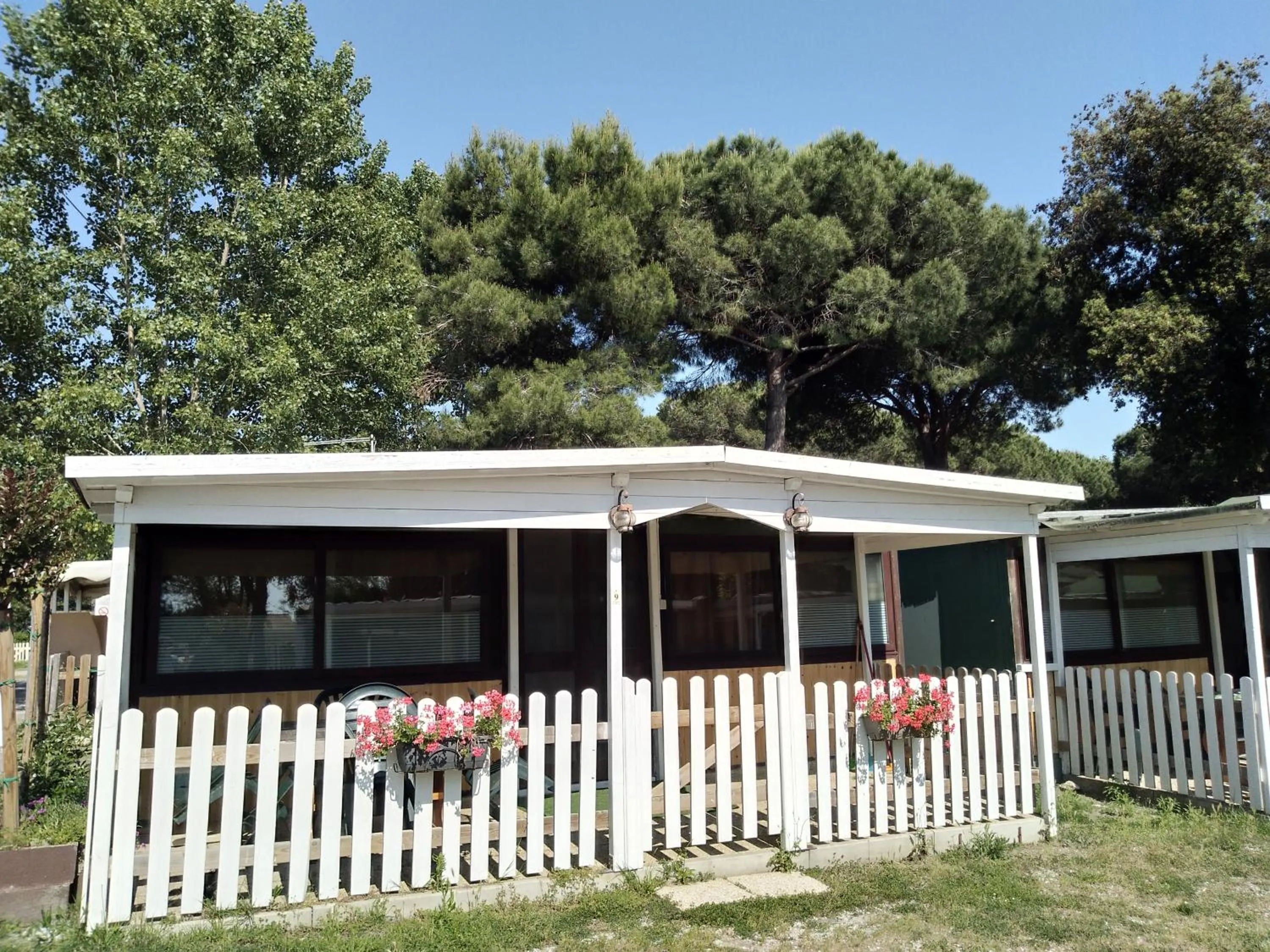Camping Pineta
