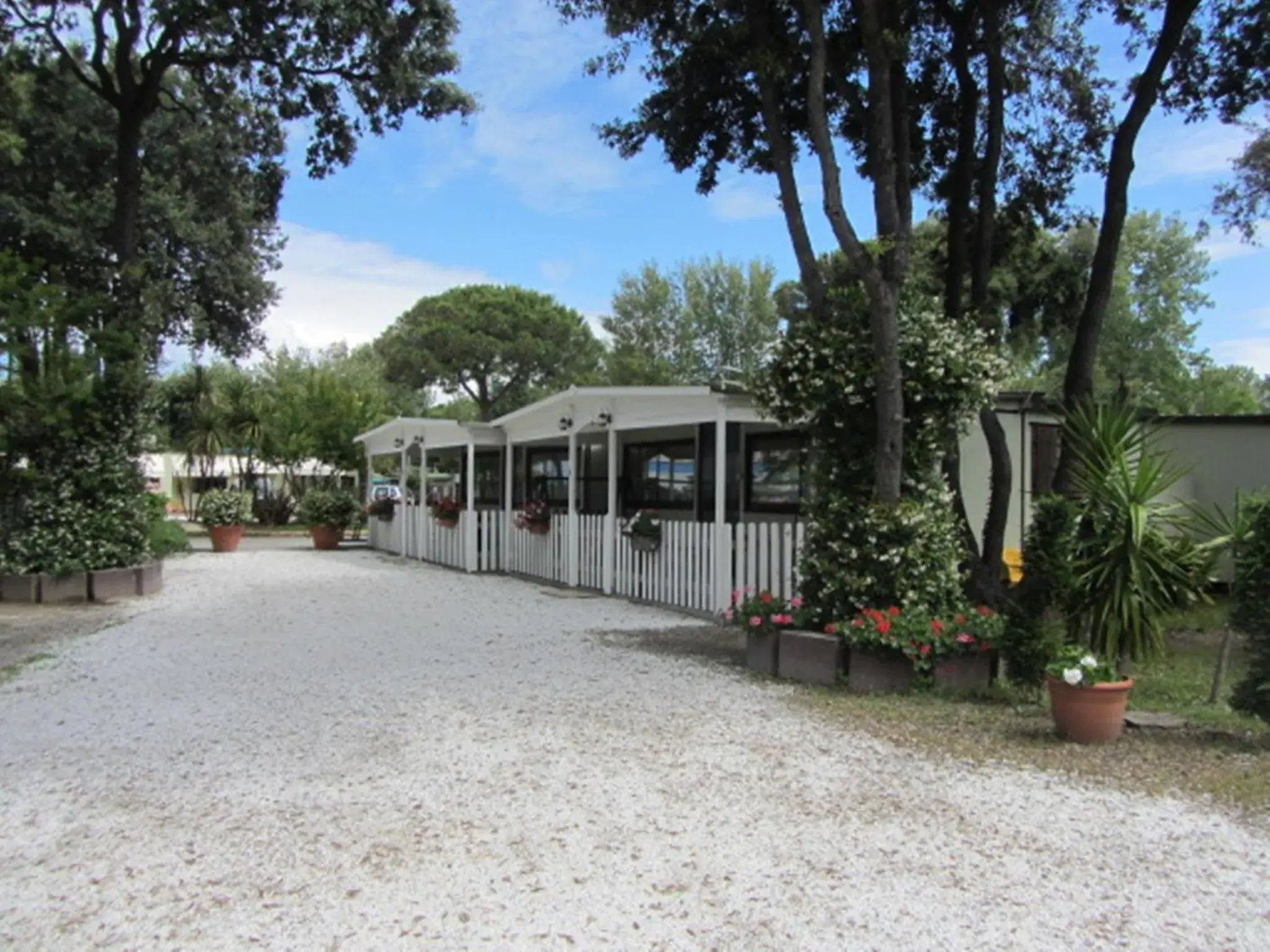 Camping Pineta Camping Pineta