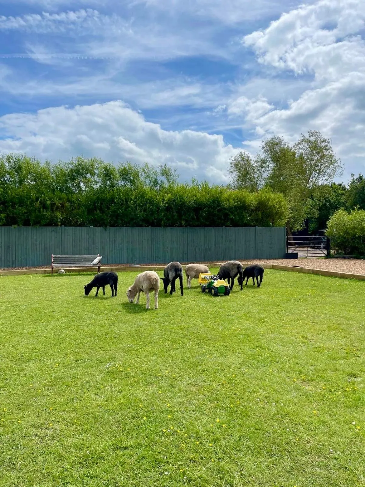 Willow Court Farm Studio East & Petting Farm, 8 mins to Legoland & Windsor, 15 mins to Lapland UK