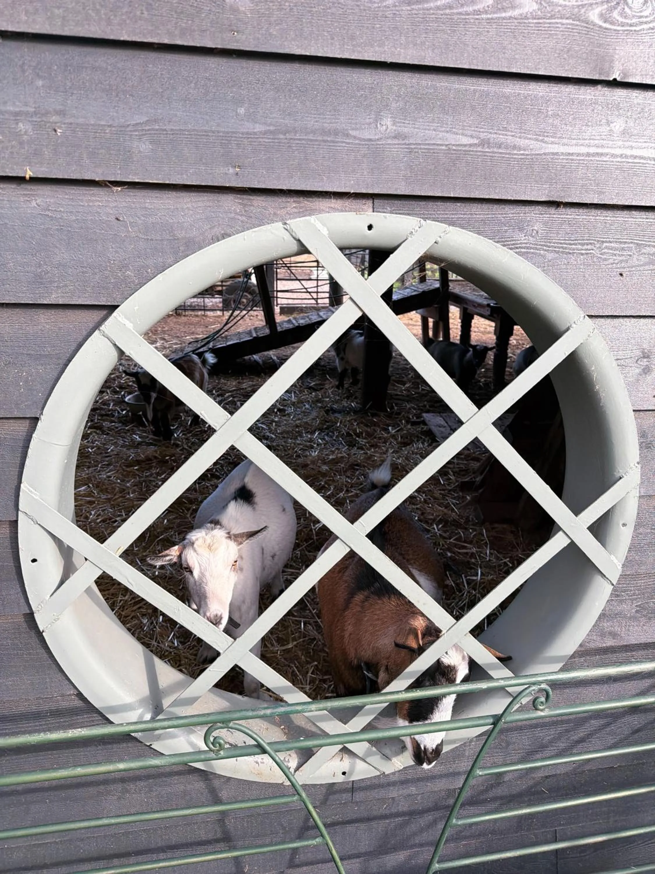 Willow Court Farm Studio East & Petting Farm, 8 mins to Legoland & Windsor, 15 mins to Lapland UK