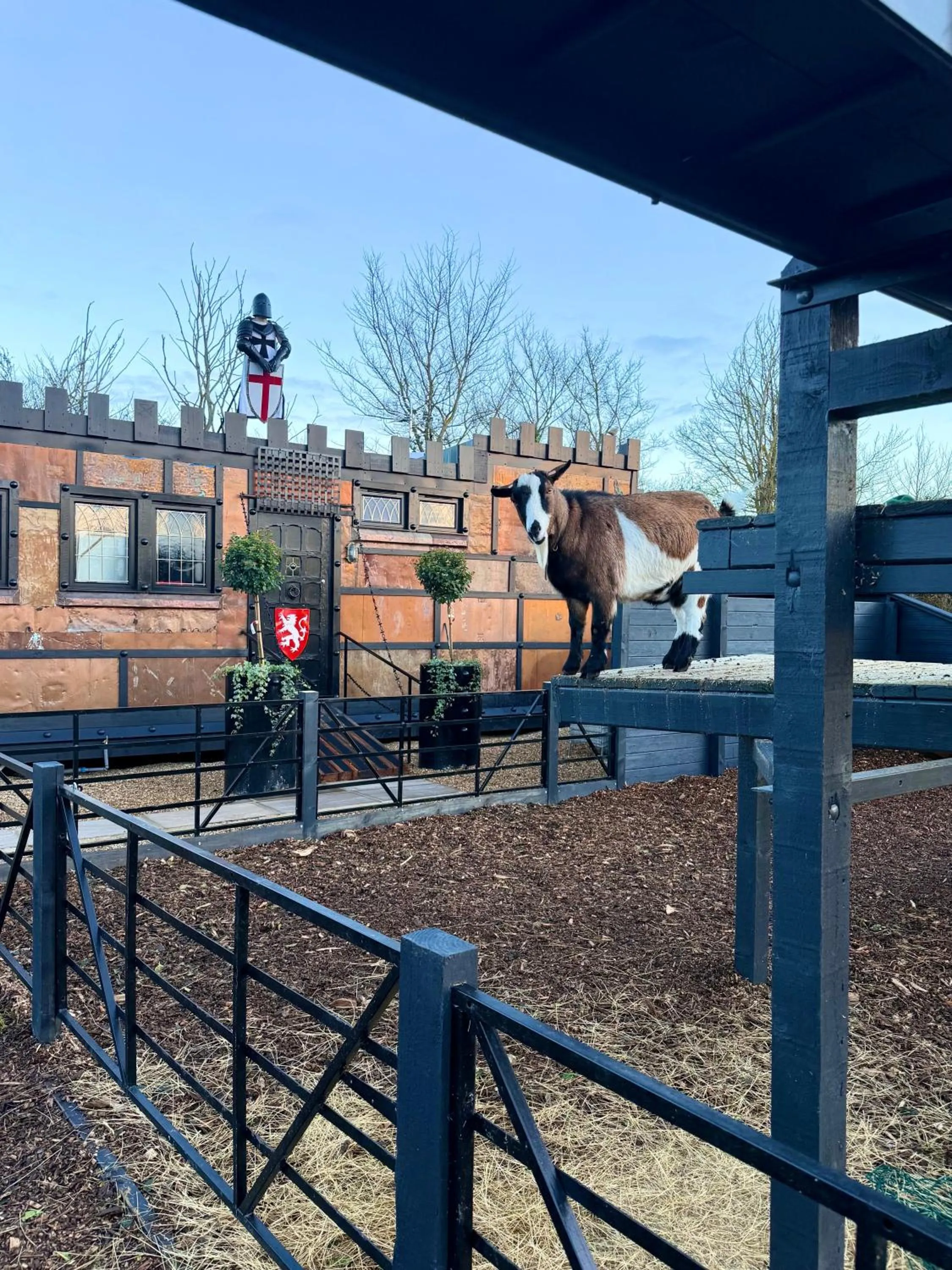 Willow Court Farm Studio East & Petting Farm, 8 mins to Legoland & Windsor, 15 mins to Lapland UK