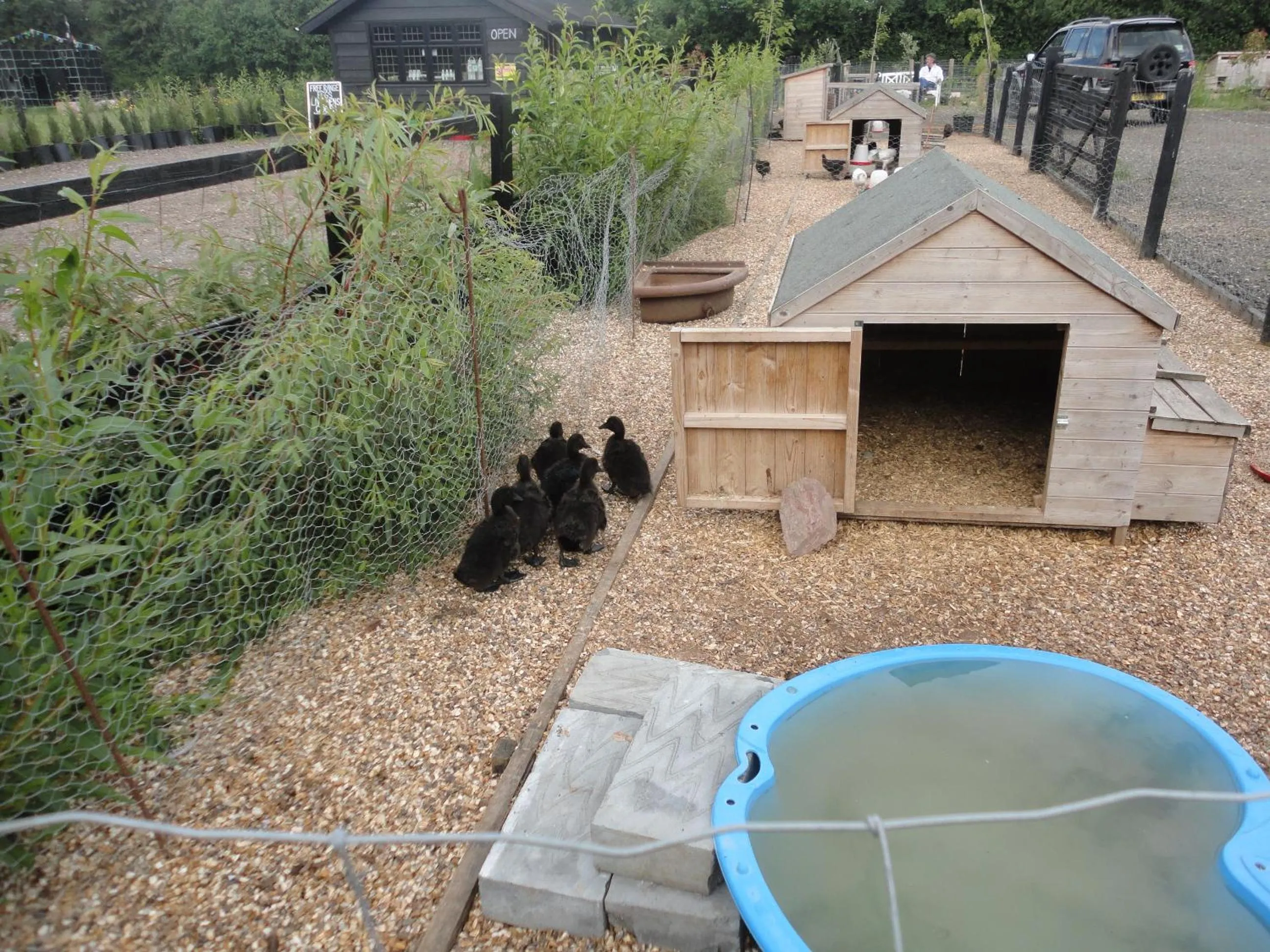 Day in Willow Court Farm Studio East & Petting Farm, 8 mins to Legoland & Windsor, 15 mins to Lapland UK