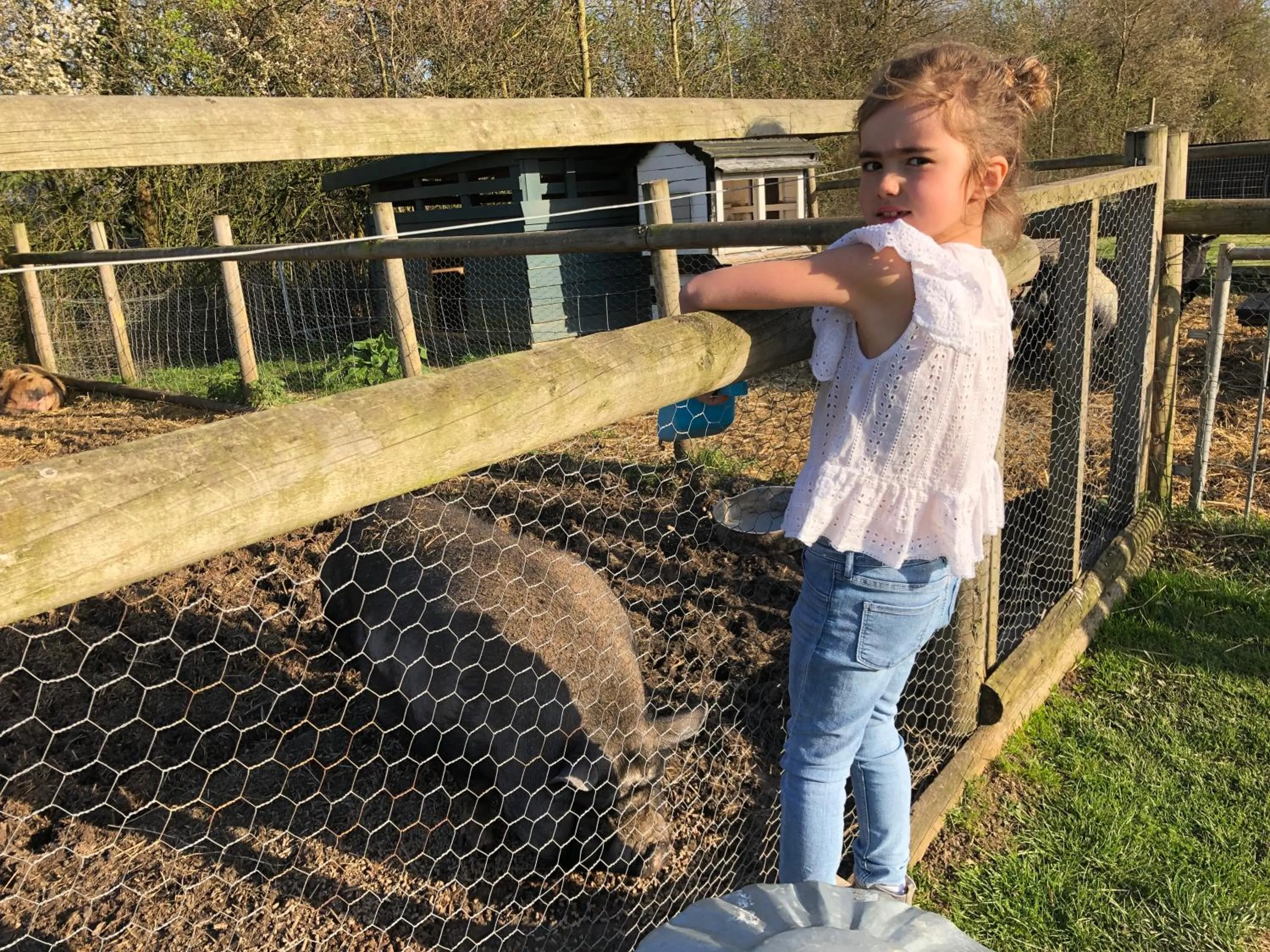 Animals in Willow Court Farm Studio East & Petting Farm, 8 mins to Legoland & Windsor, 15 mins to Lapland UK