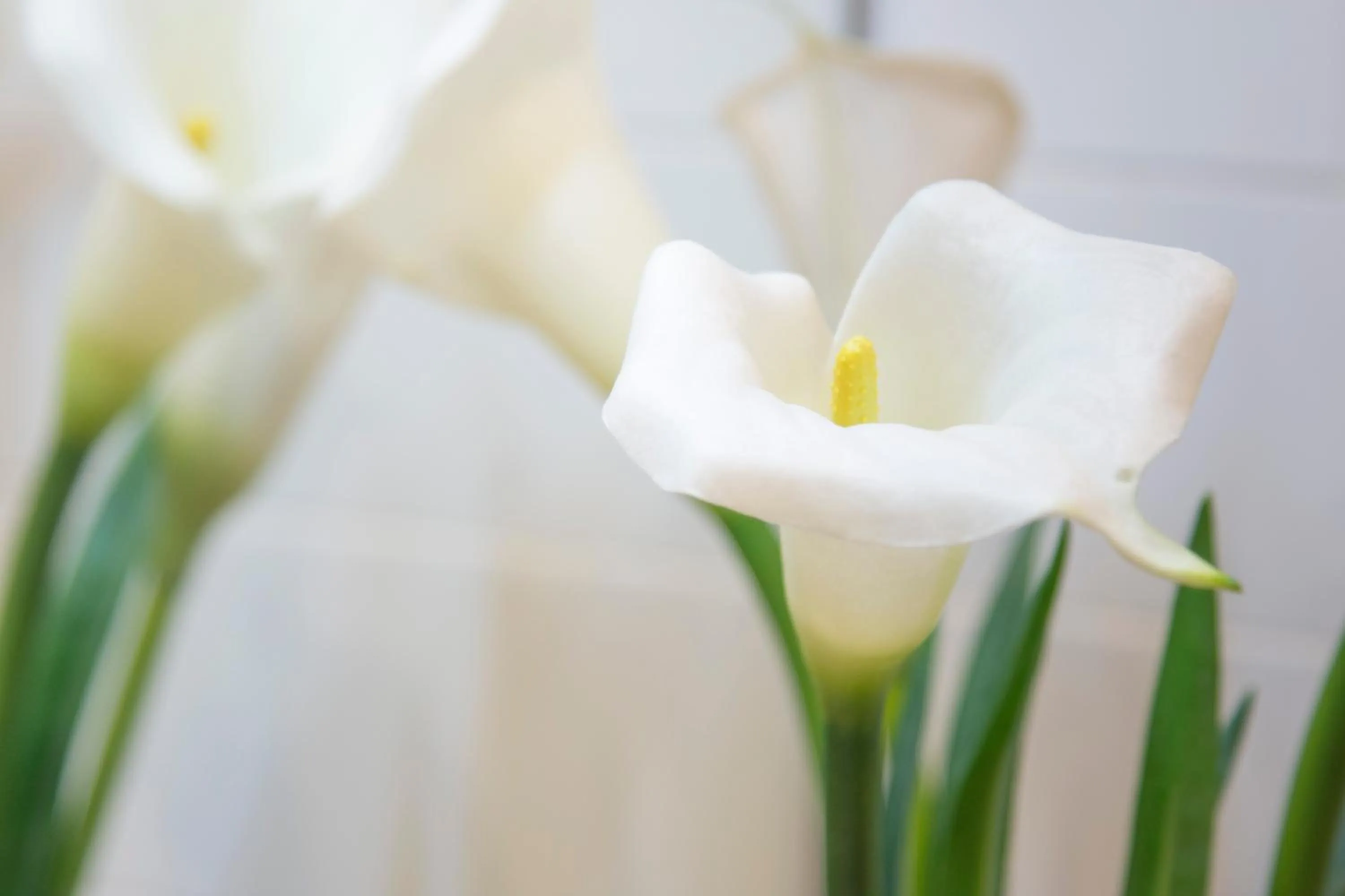 Decorative detail in iloftmalaga Premium Centro Histórico