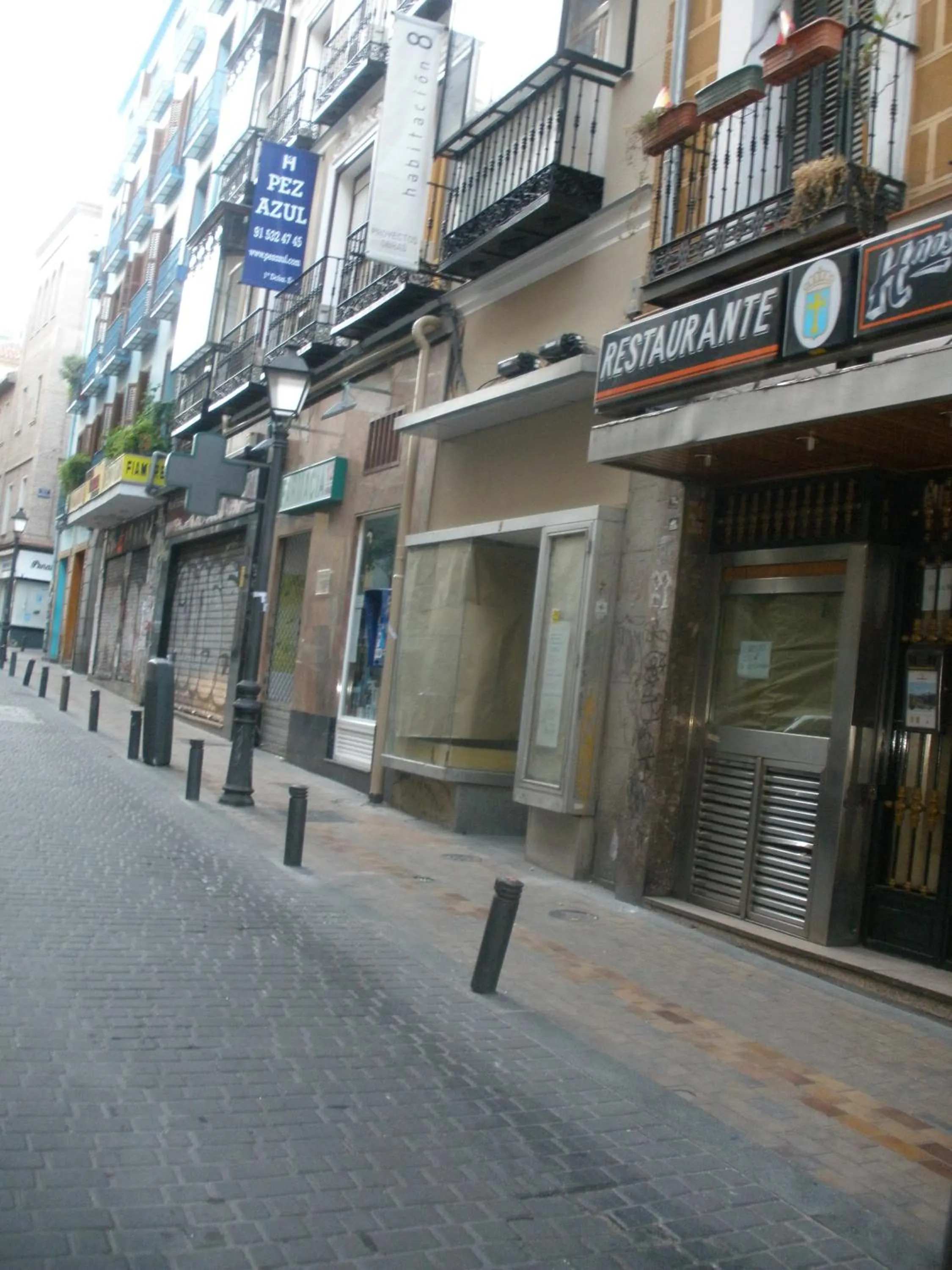 Day in Hostal del Pez Azul