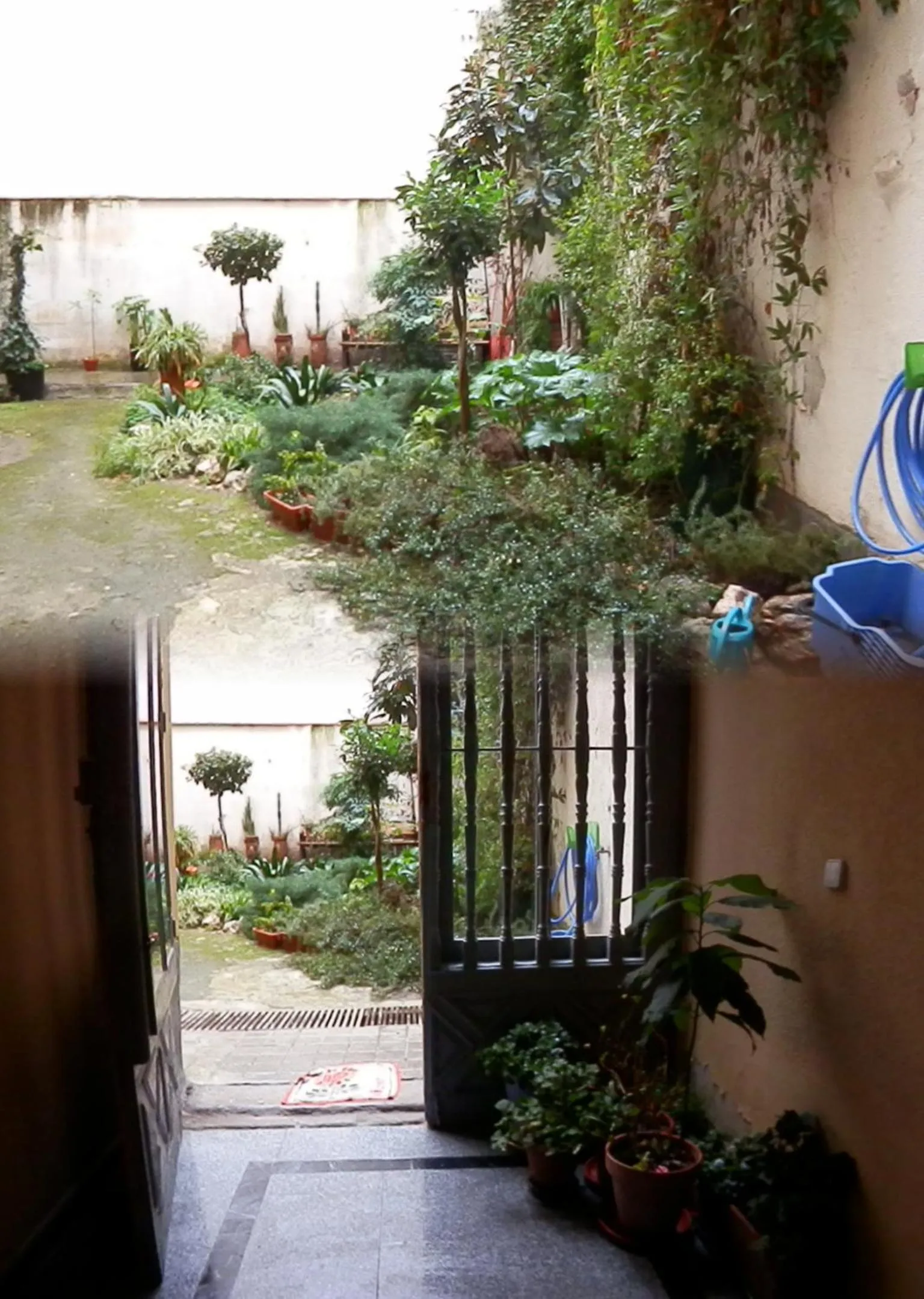 Garden in Hostal del Pez Azul