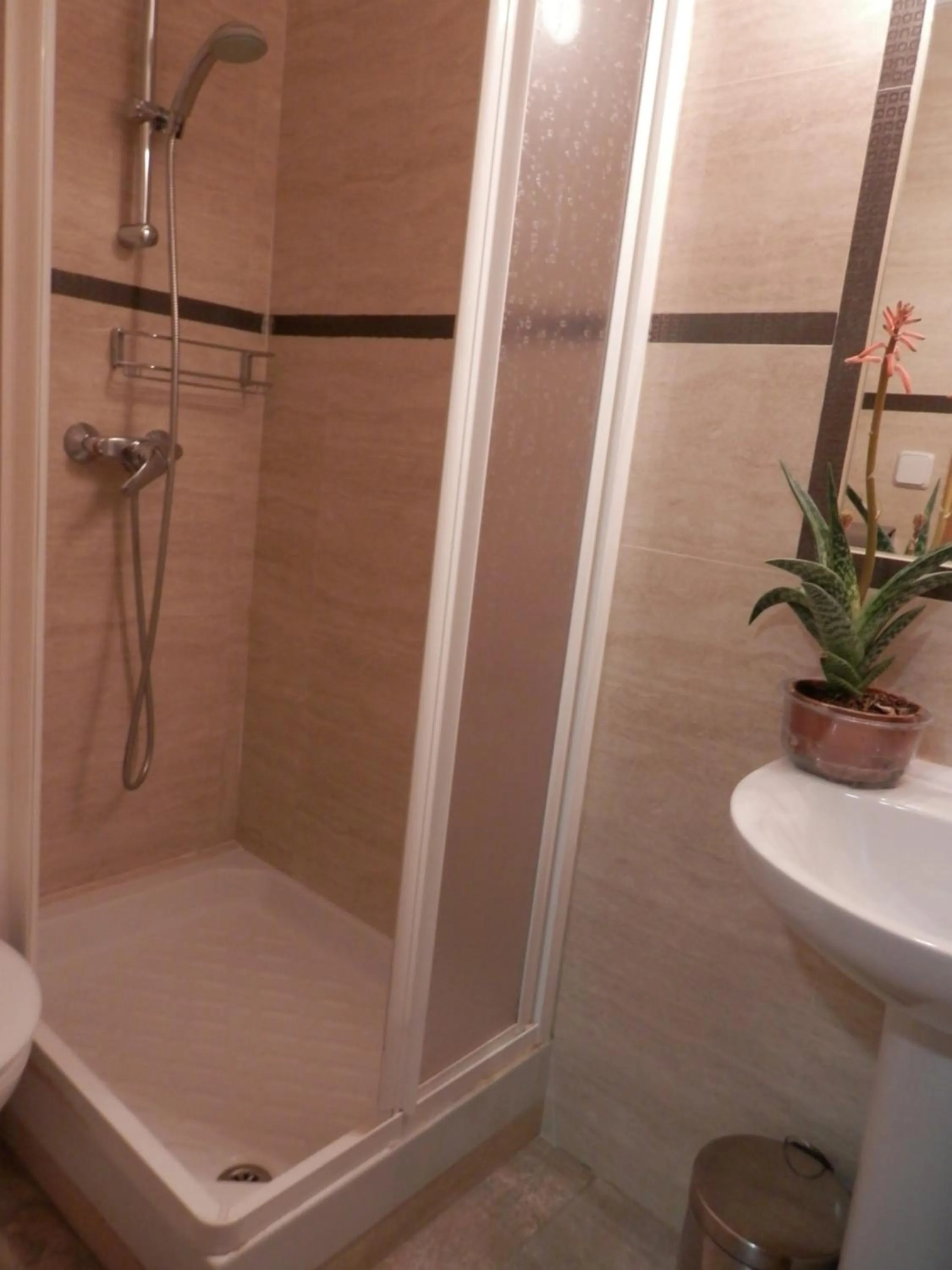 Shower in Hostal del Pez Azul