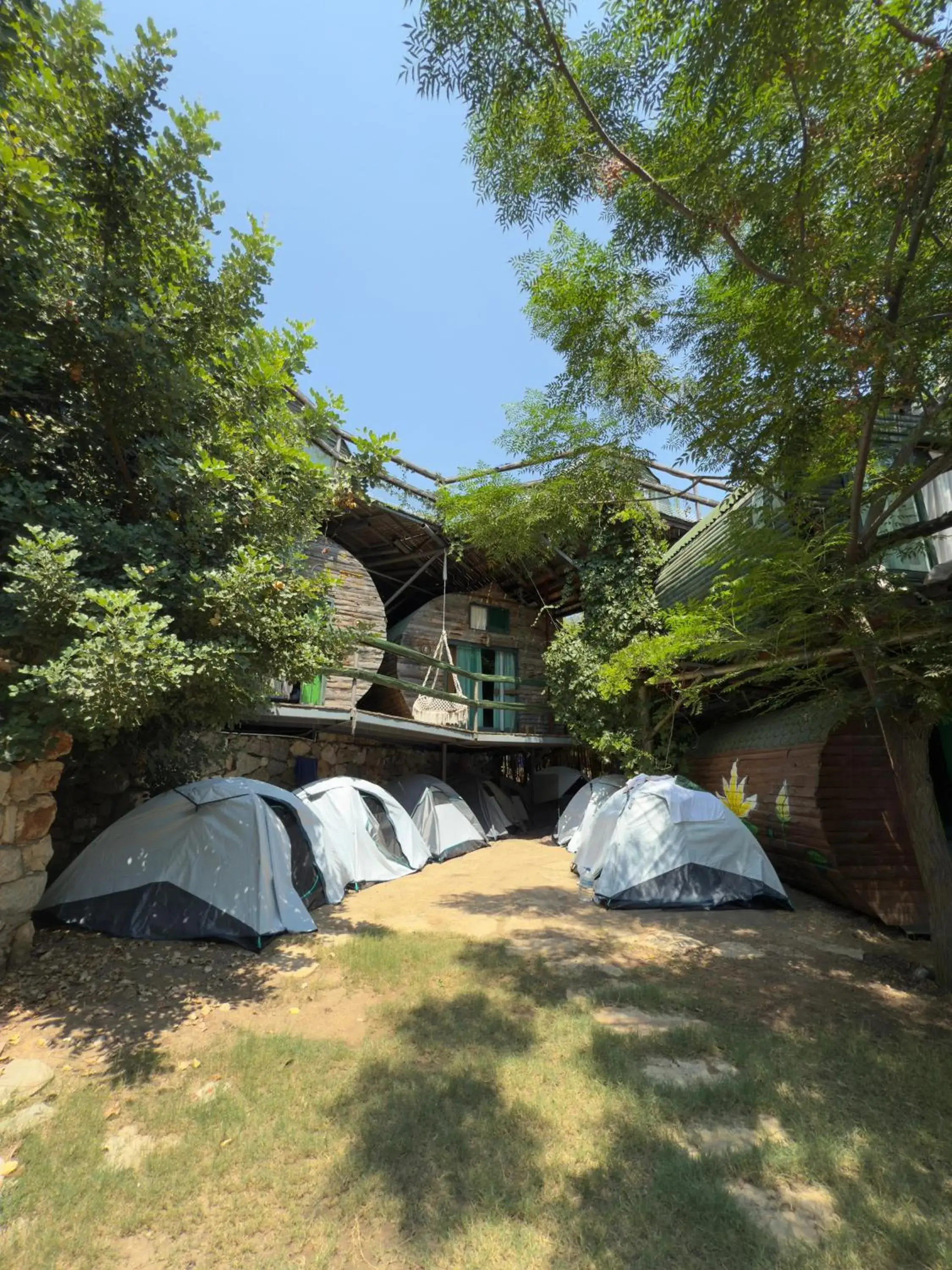 Tent - single occupancy in Mandala Camping Tent - single occupancy in Mandala Camping