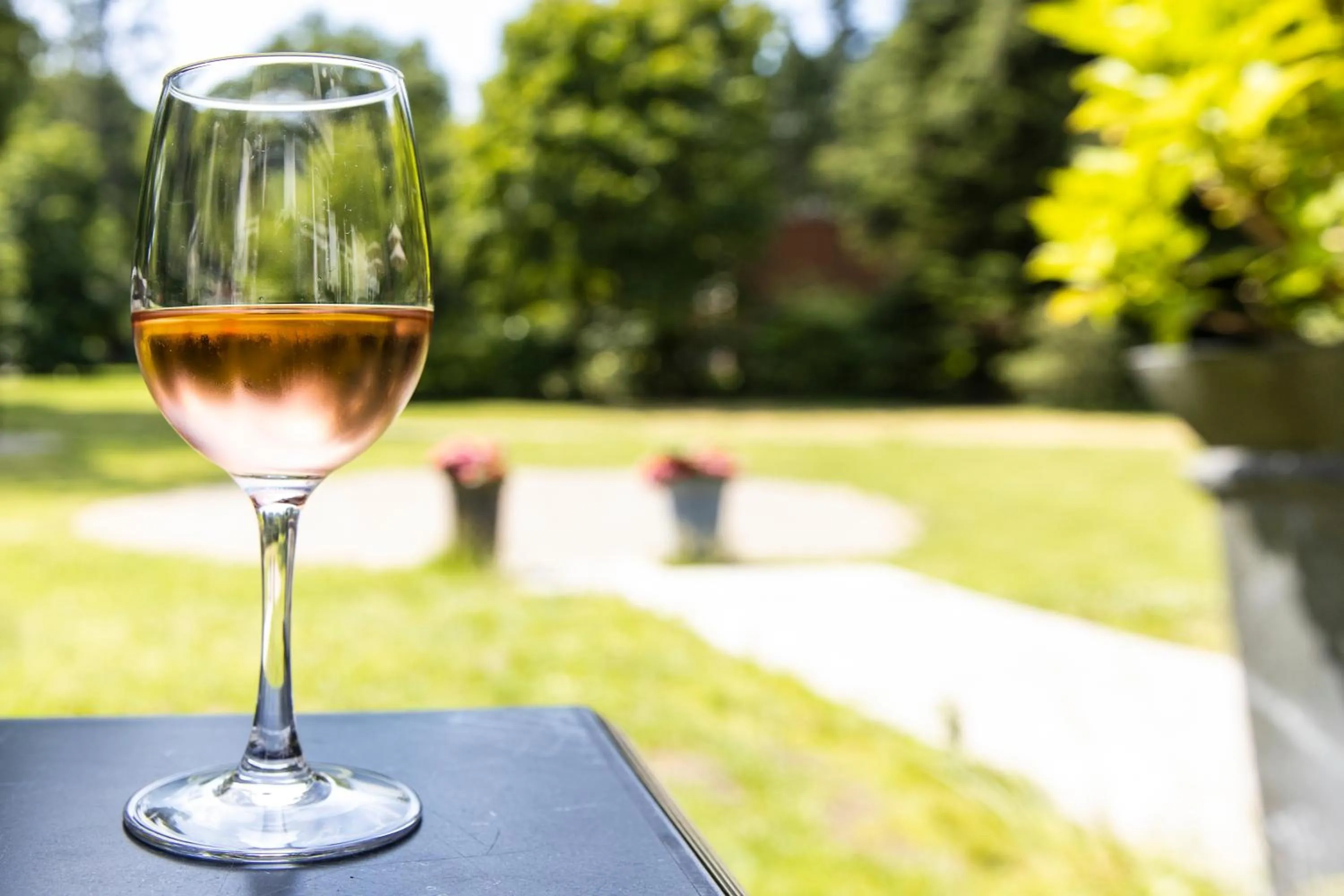 Balcony/Terrace in Hotel Spelderholt