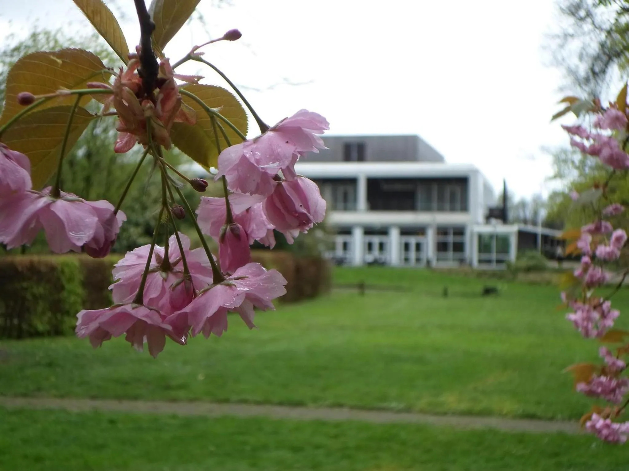 Garden in Hotel Spelderholt