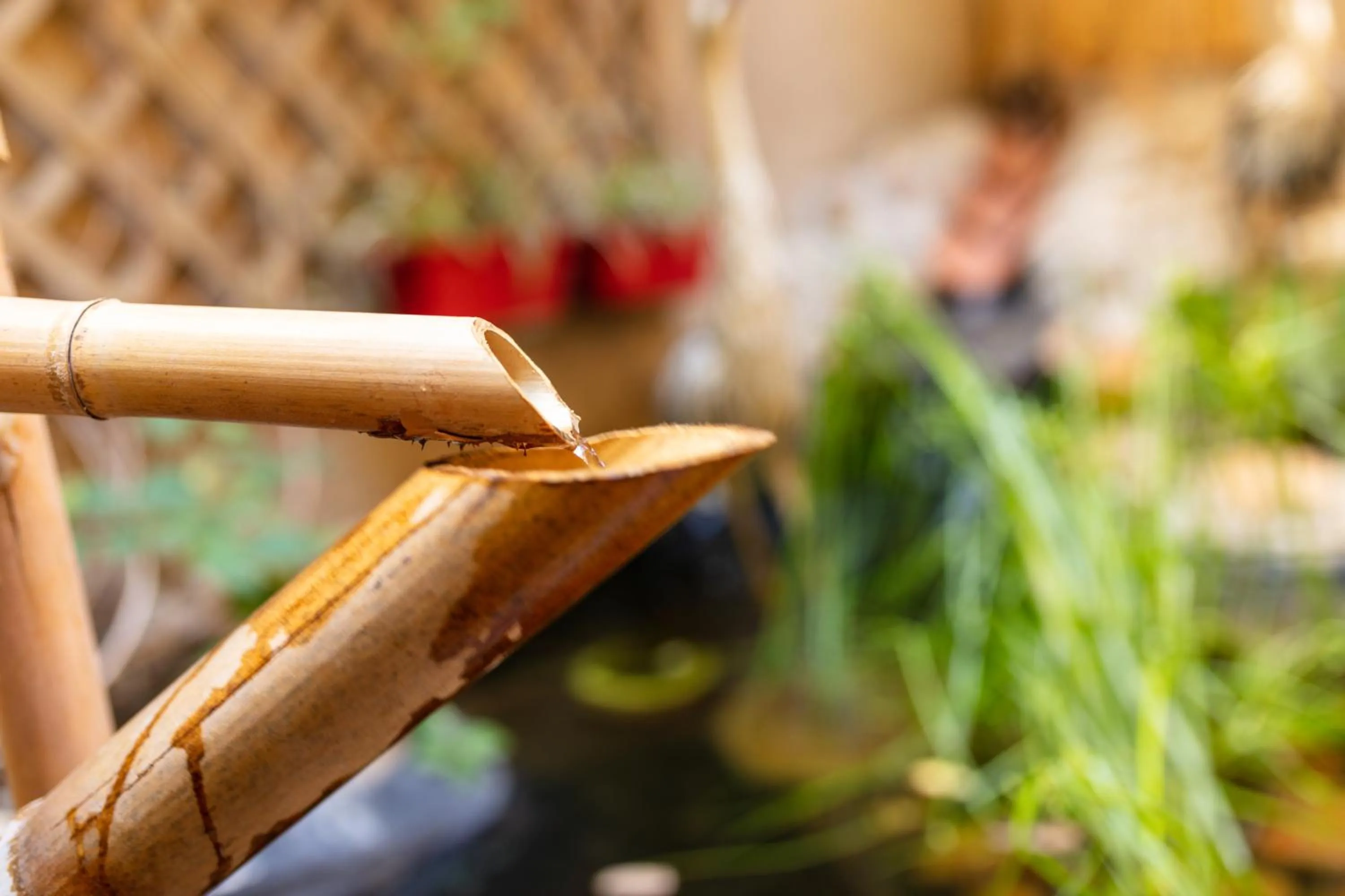Garden in La Tour Du Terroir