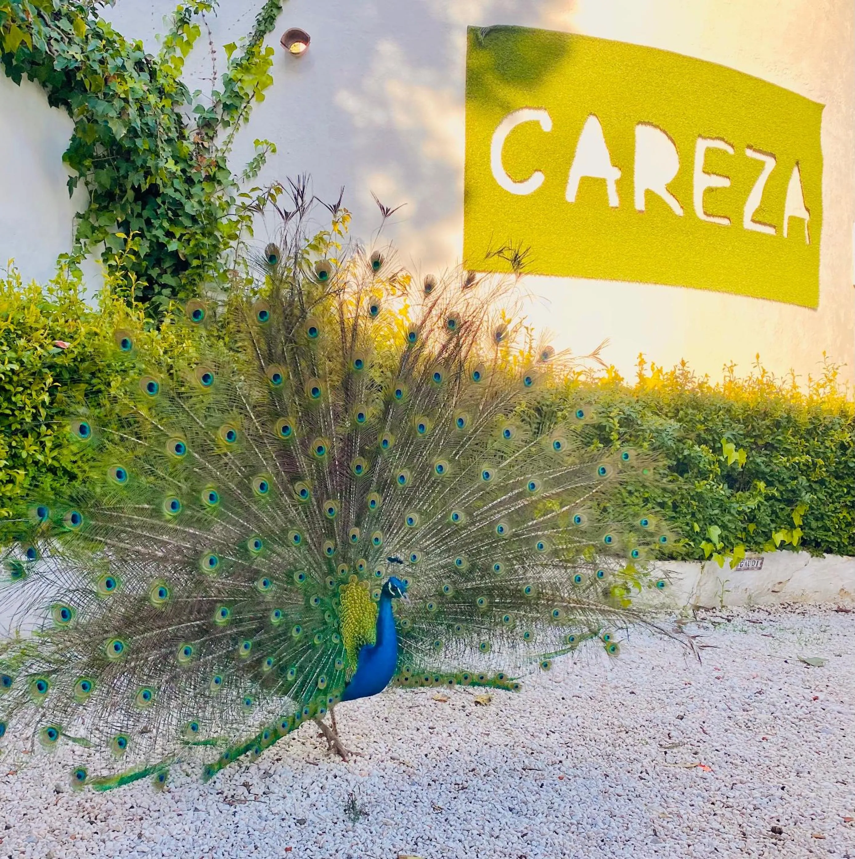 La Careza De Mijas - Adults Only