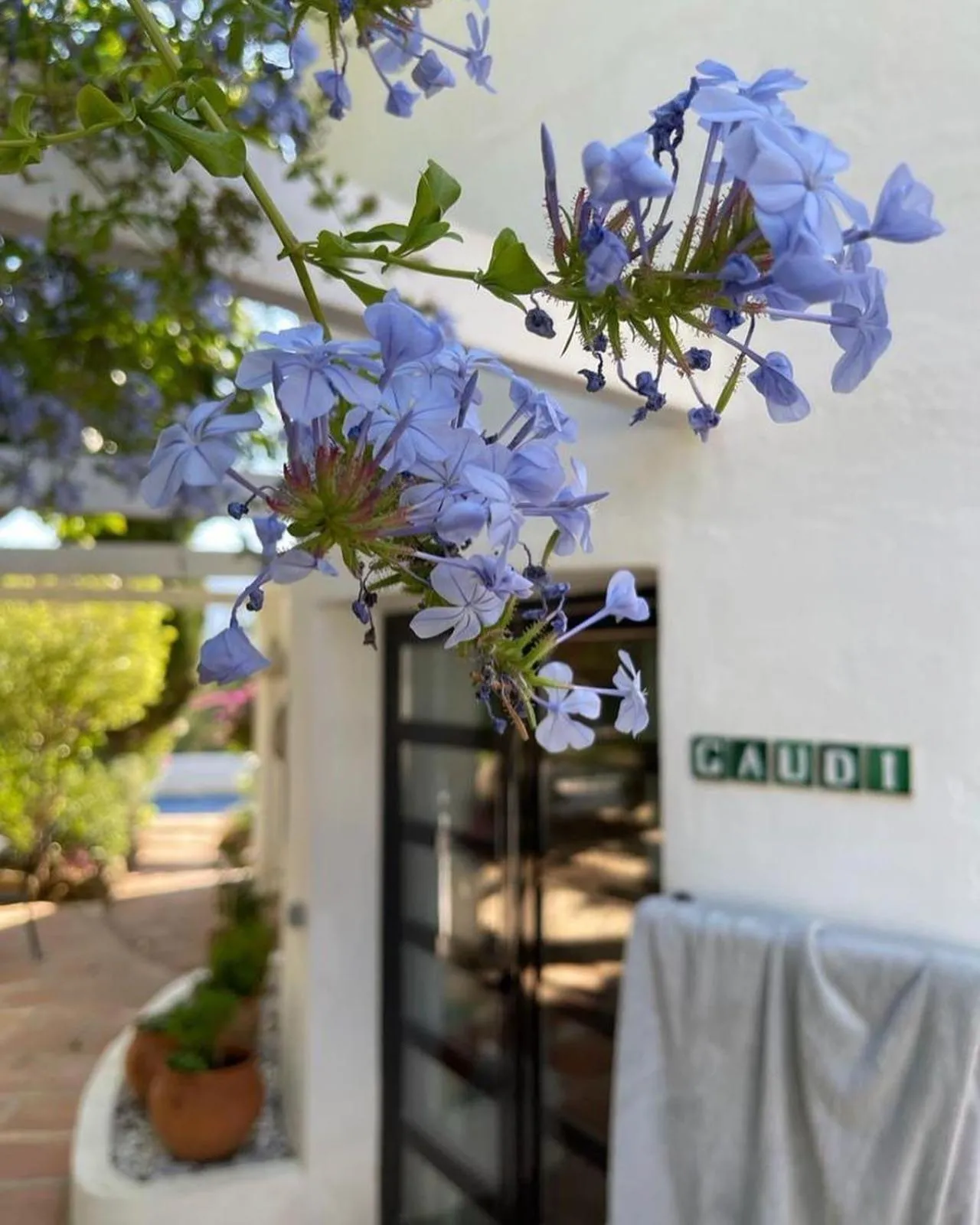 La Careza De Mijas - Adults Only