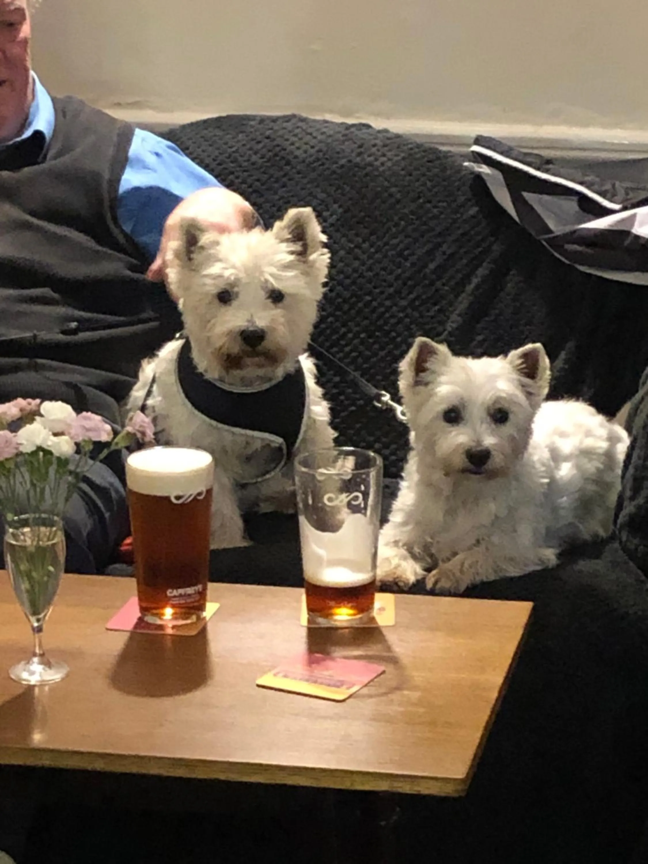 Property building in The Old Pound Inn