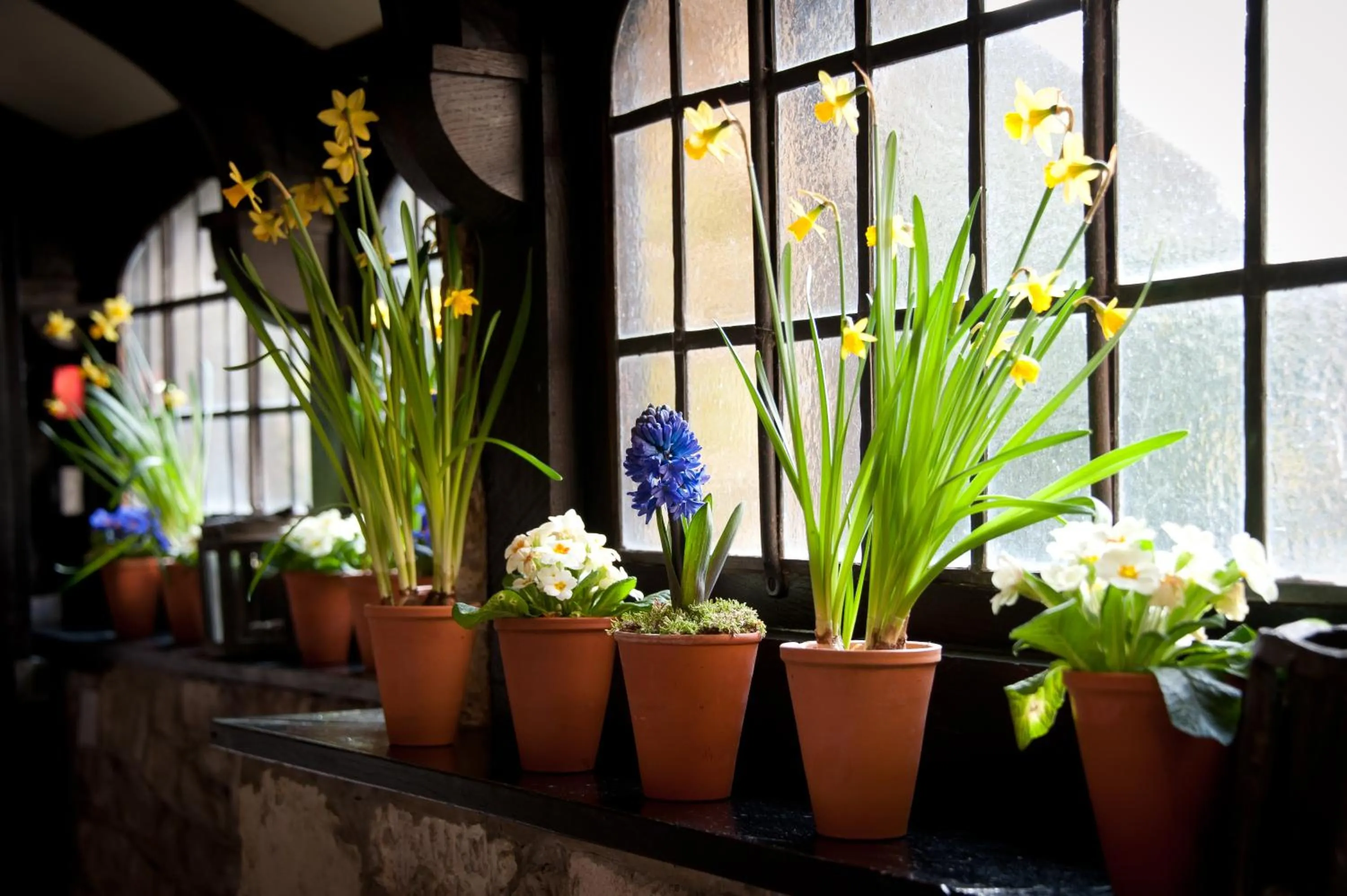 Decorative detail in Amberley Castle- A Relais & Chateaux Hotel