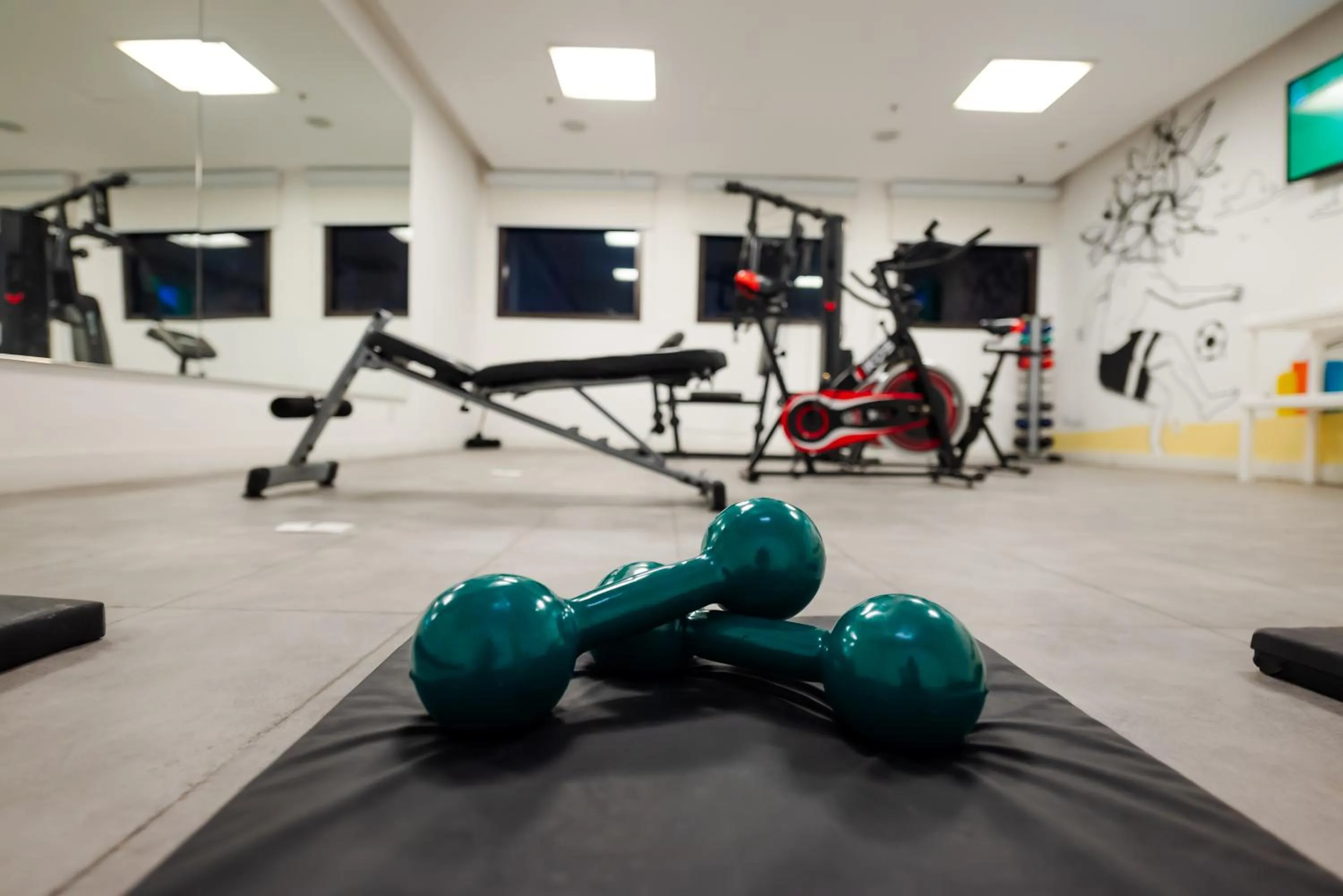 Fitness centre/facilities in ibis Styles Rio de Janeiro Botafogo