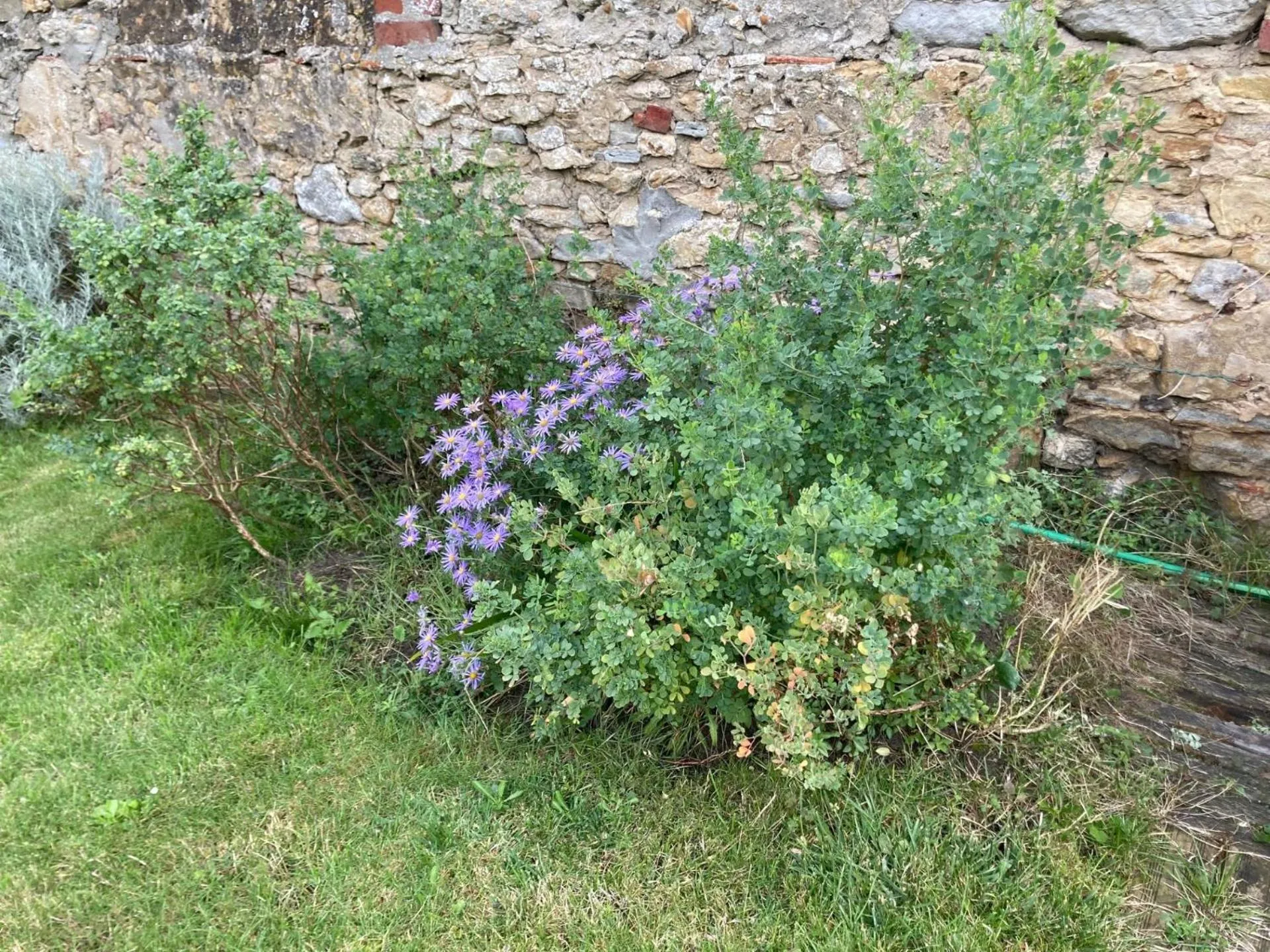 Garden in La marine D'opale