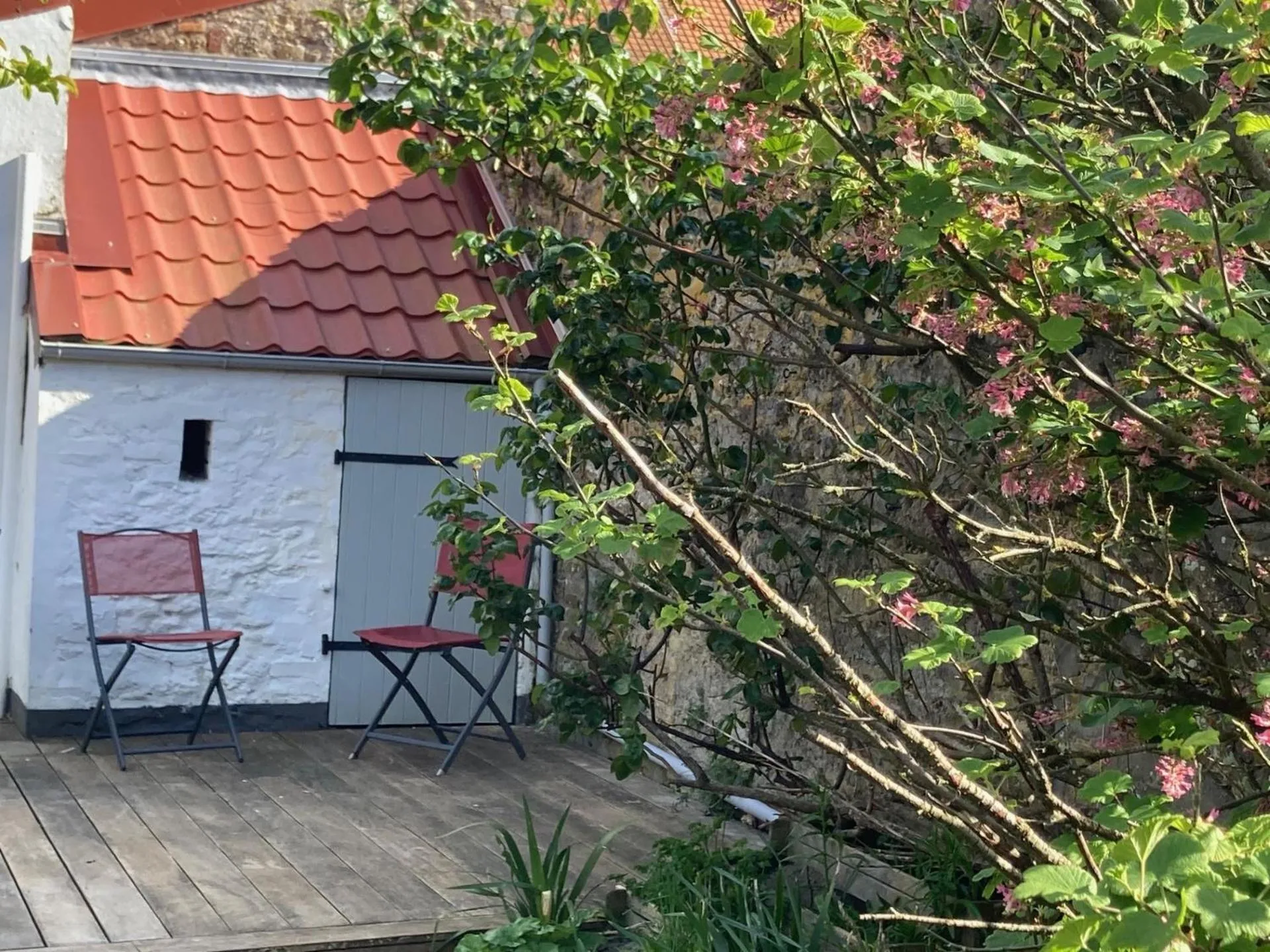 Garden in La marine D'opale