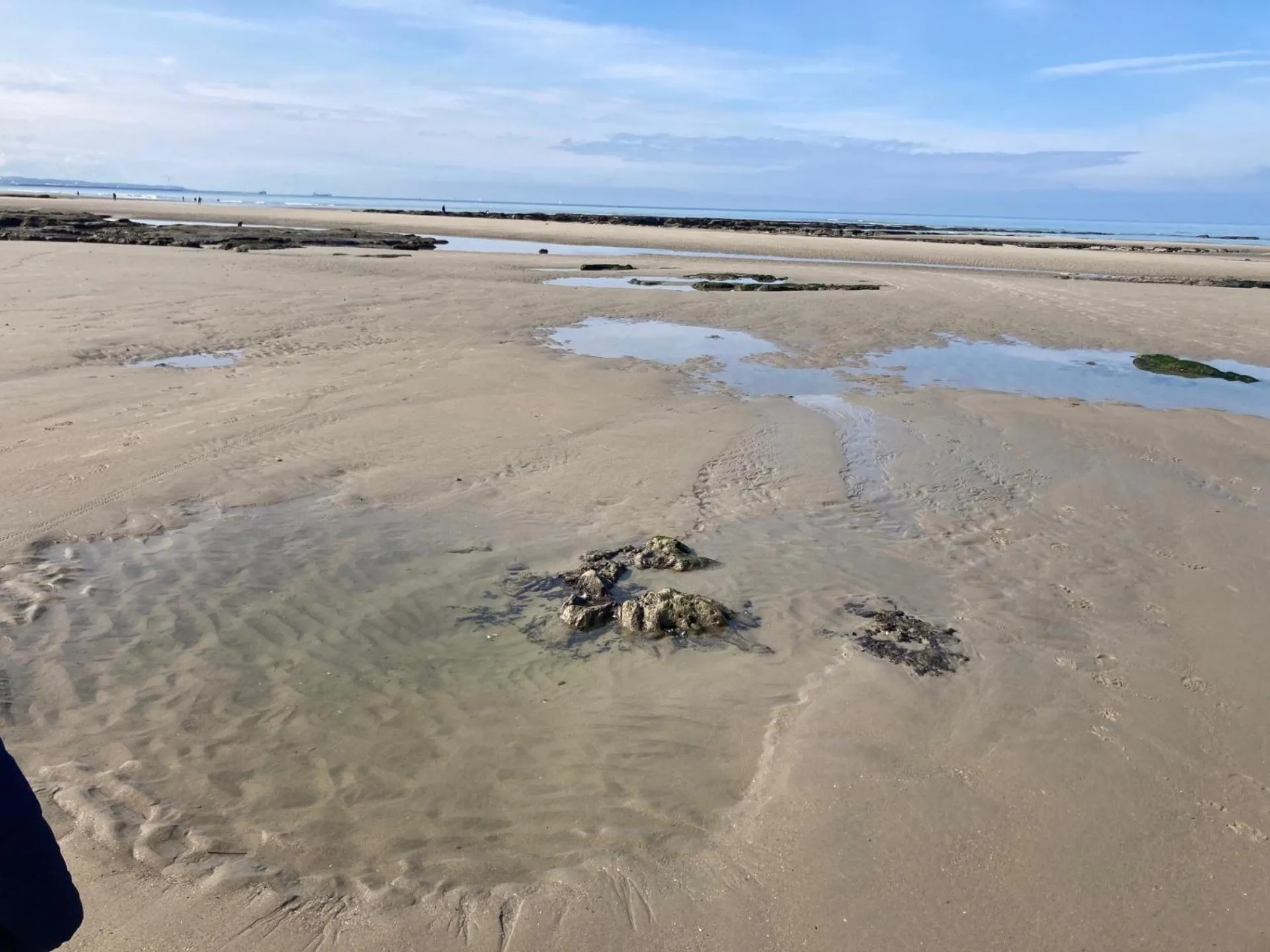 Activities in La marine D'opale