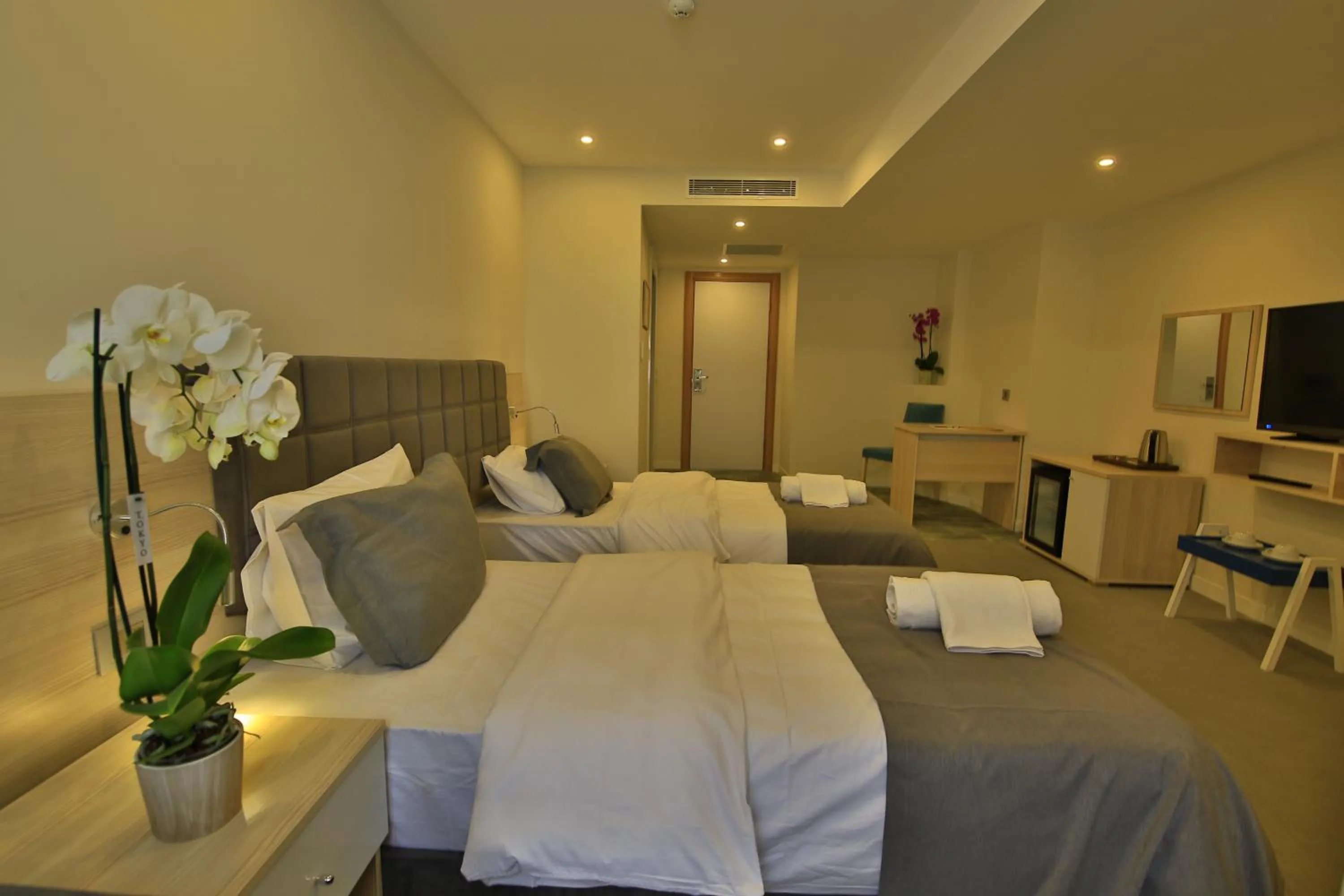 Photo of the whole room in leto city hotel