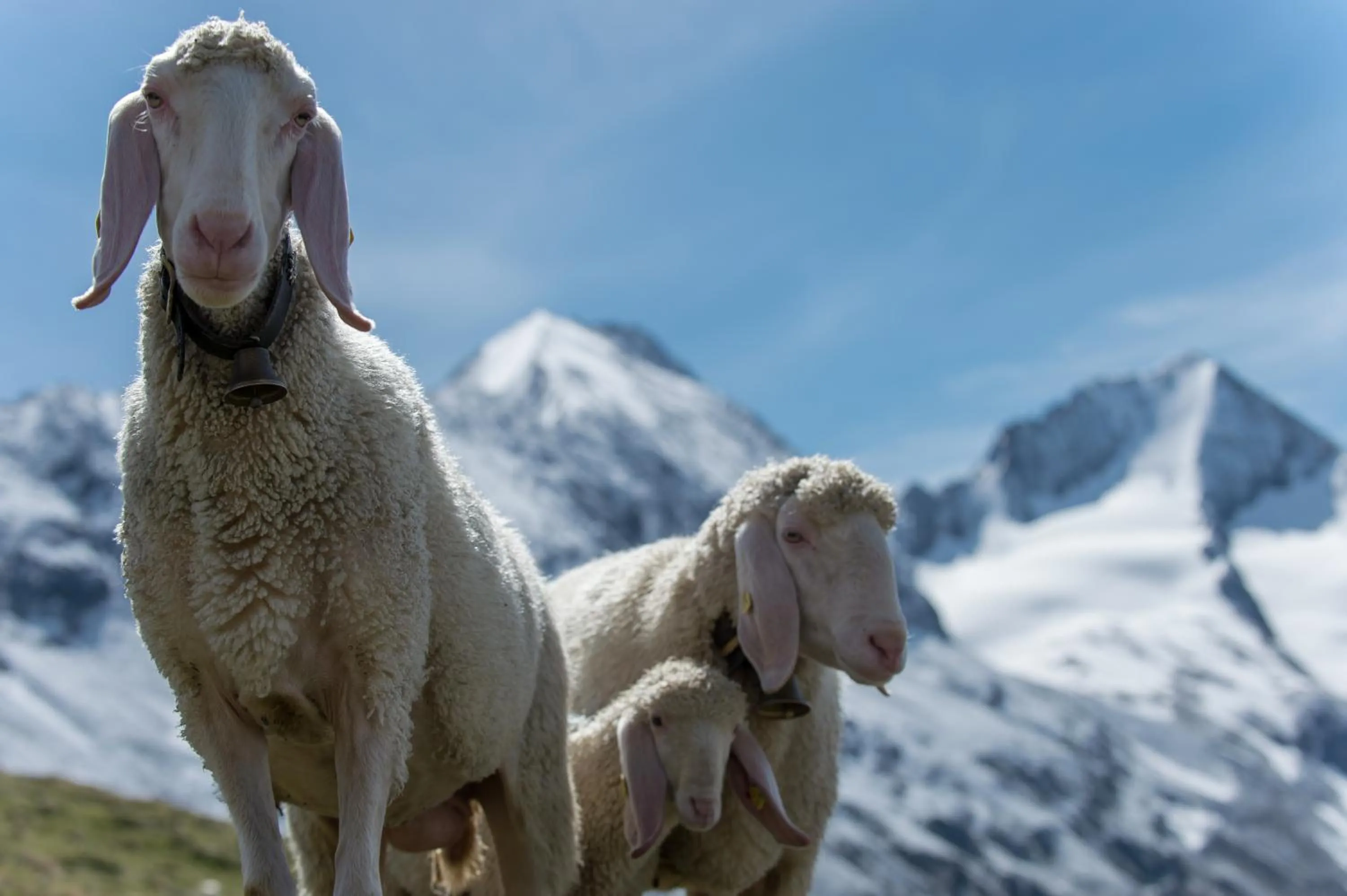 Natural landscape in 4 Sterne Superior Mühle Resort 1900 - Adults only