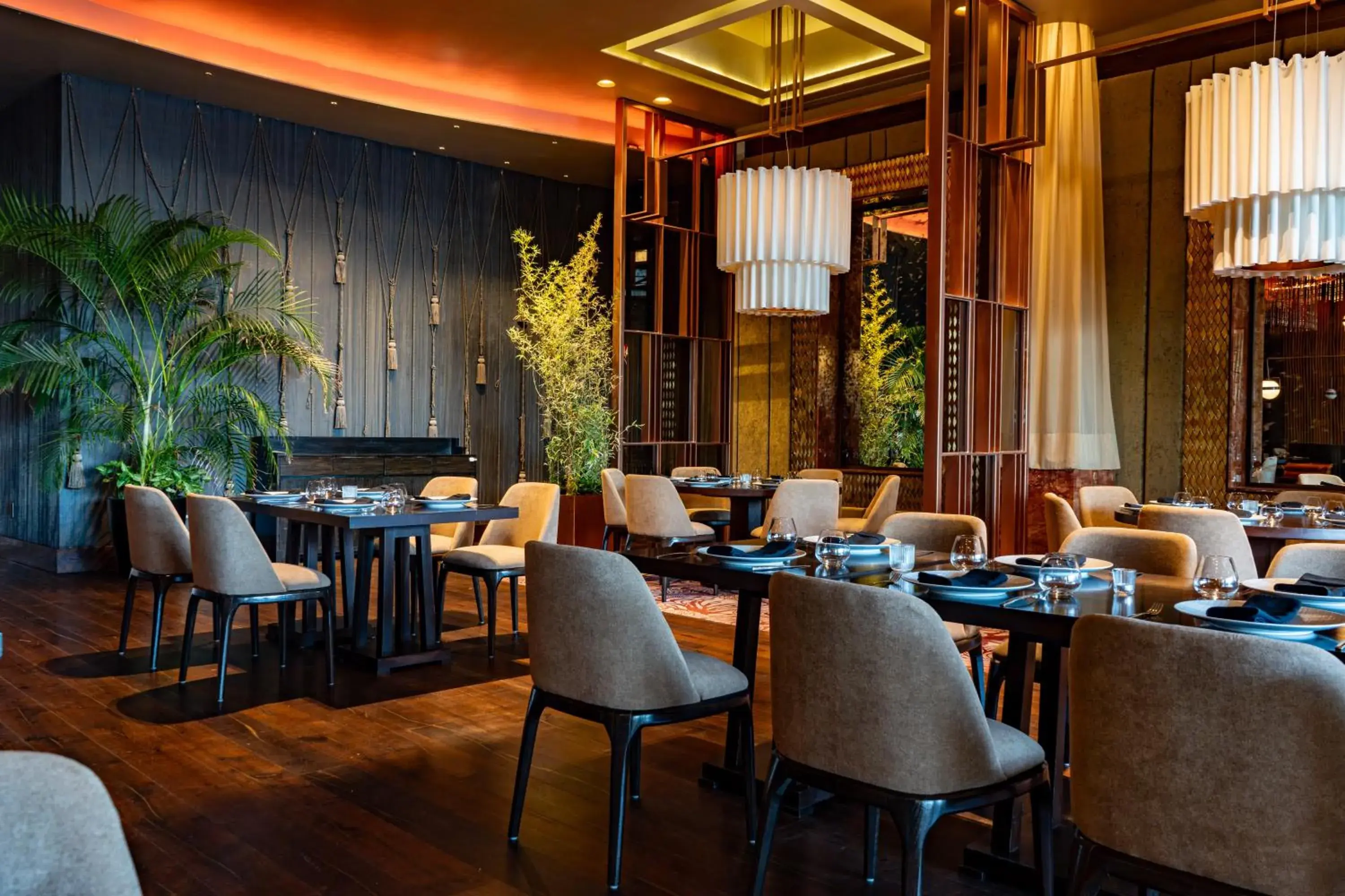 Restaurant/places to eat in Grand Velas Los Cabos Luxury All Inclusive Restaurant/places to eat in Grand Velas Los Cabos Luxury All Inclusive