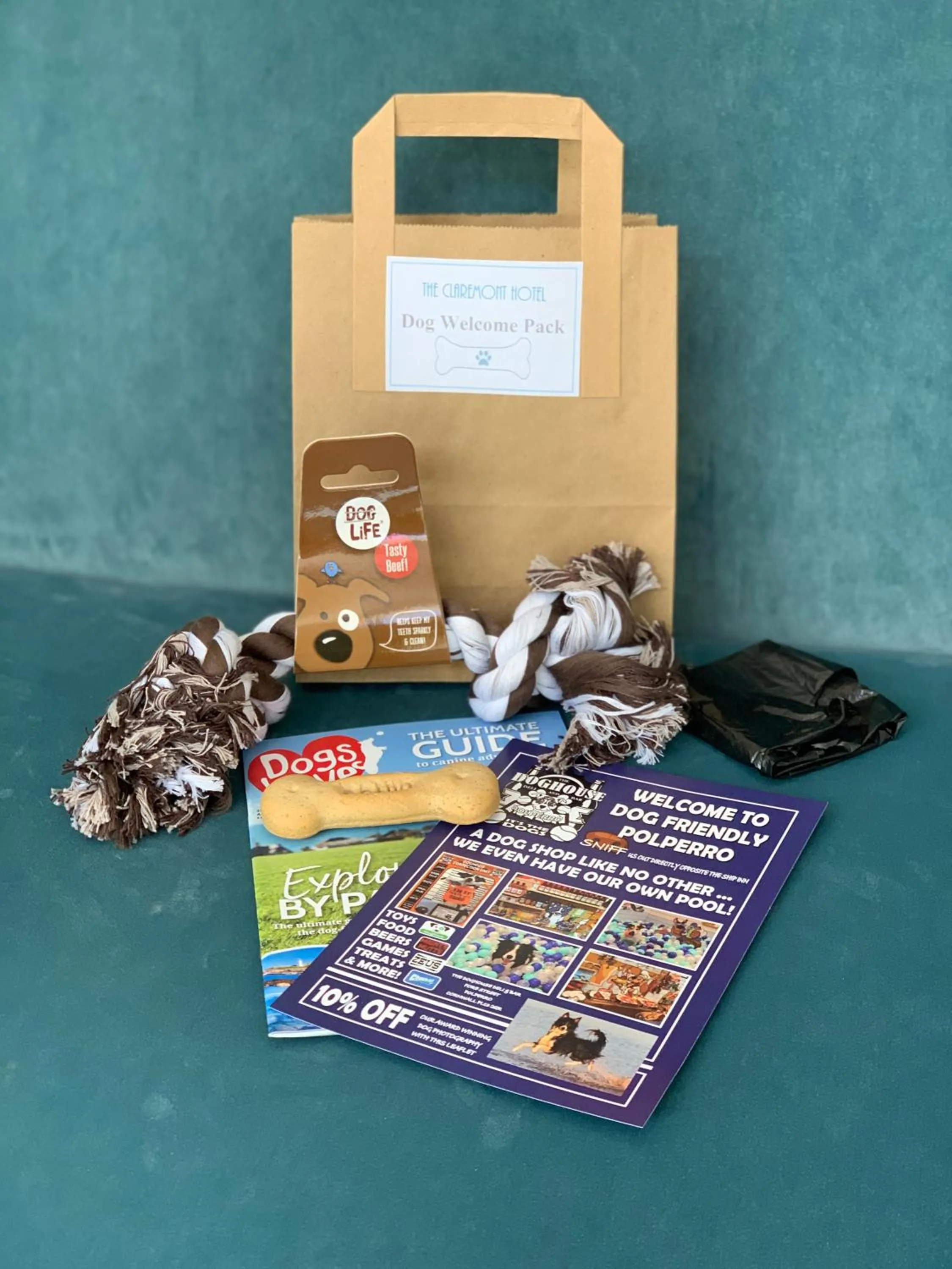 Pets in The Claremont Hotel-Adult Only