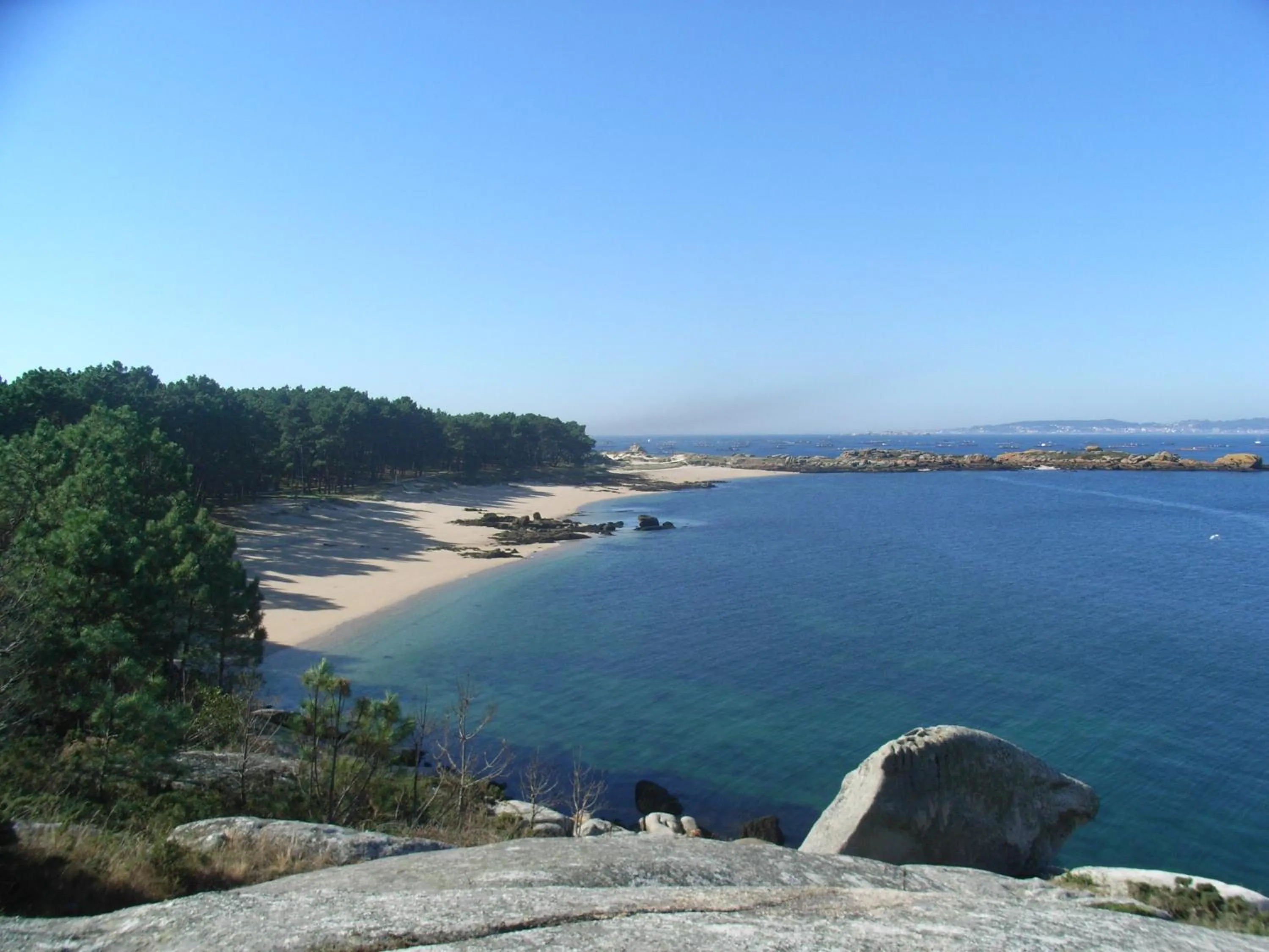 Beach in Apartamentos Arosa