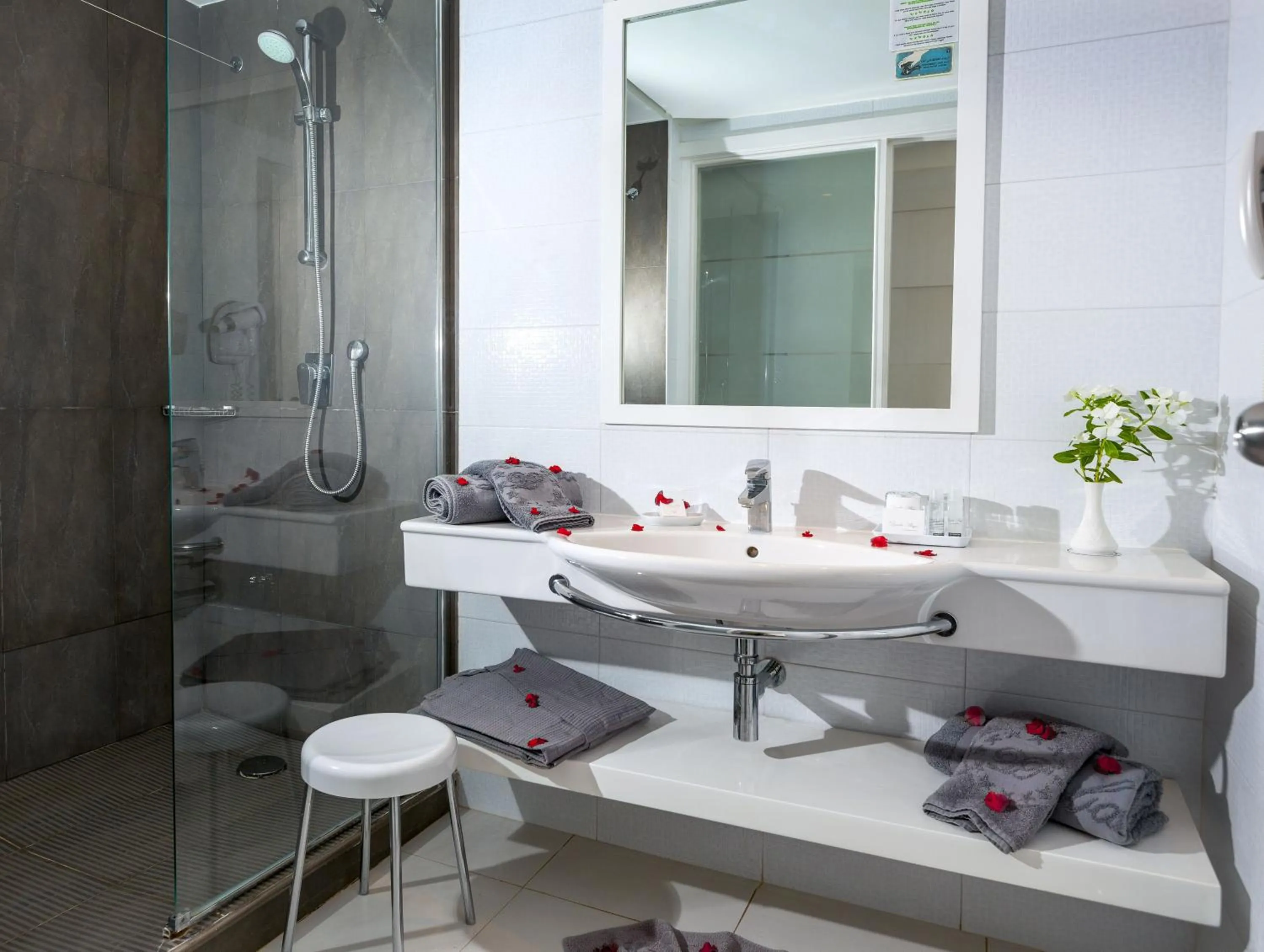 Bathroom in Djerba Plaza Thalasso & Spa