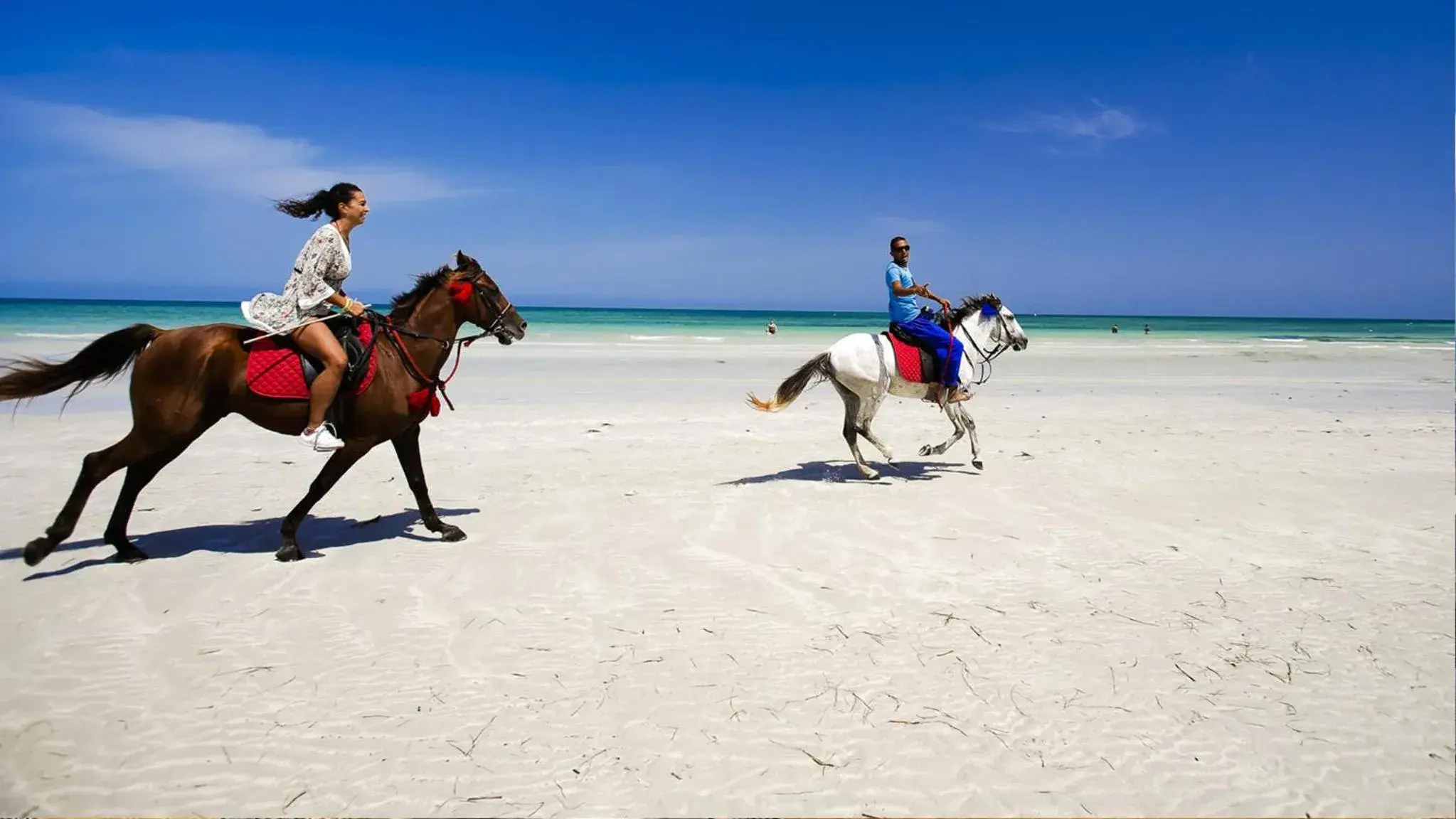 Property building in Djerba Plaza Thalasso & Spa Property building in Djerba Plaza Thalasso & Spa