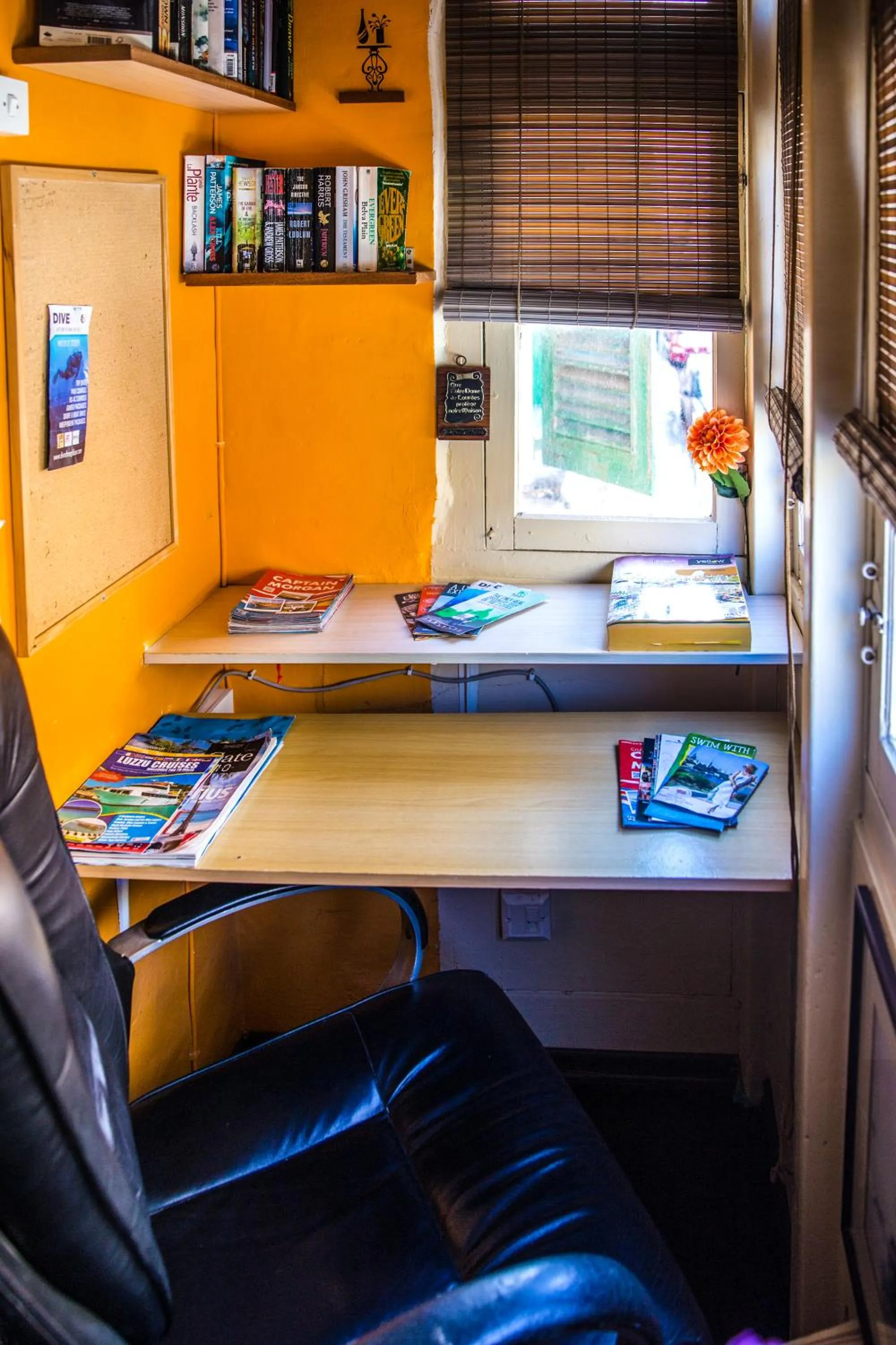 Library in Five Trees