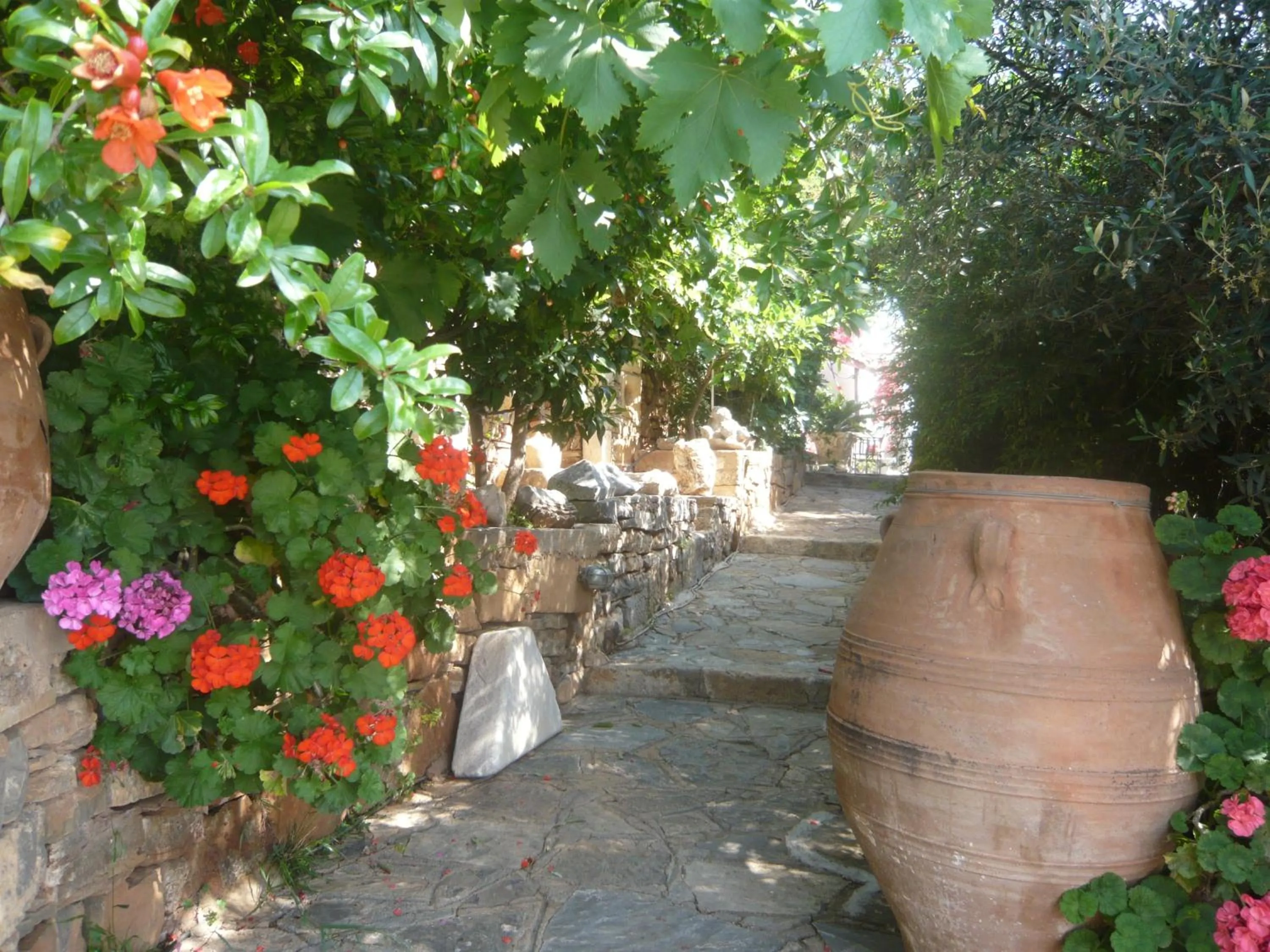 Garden in Villa Olga