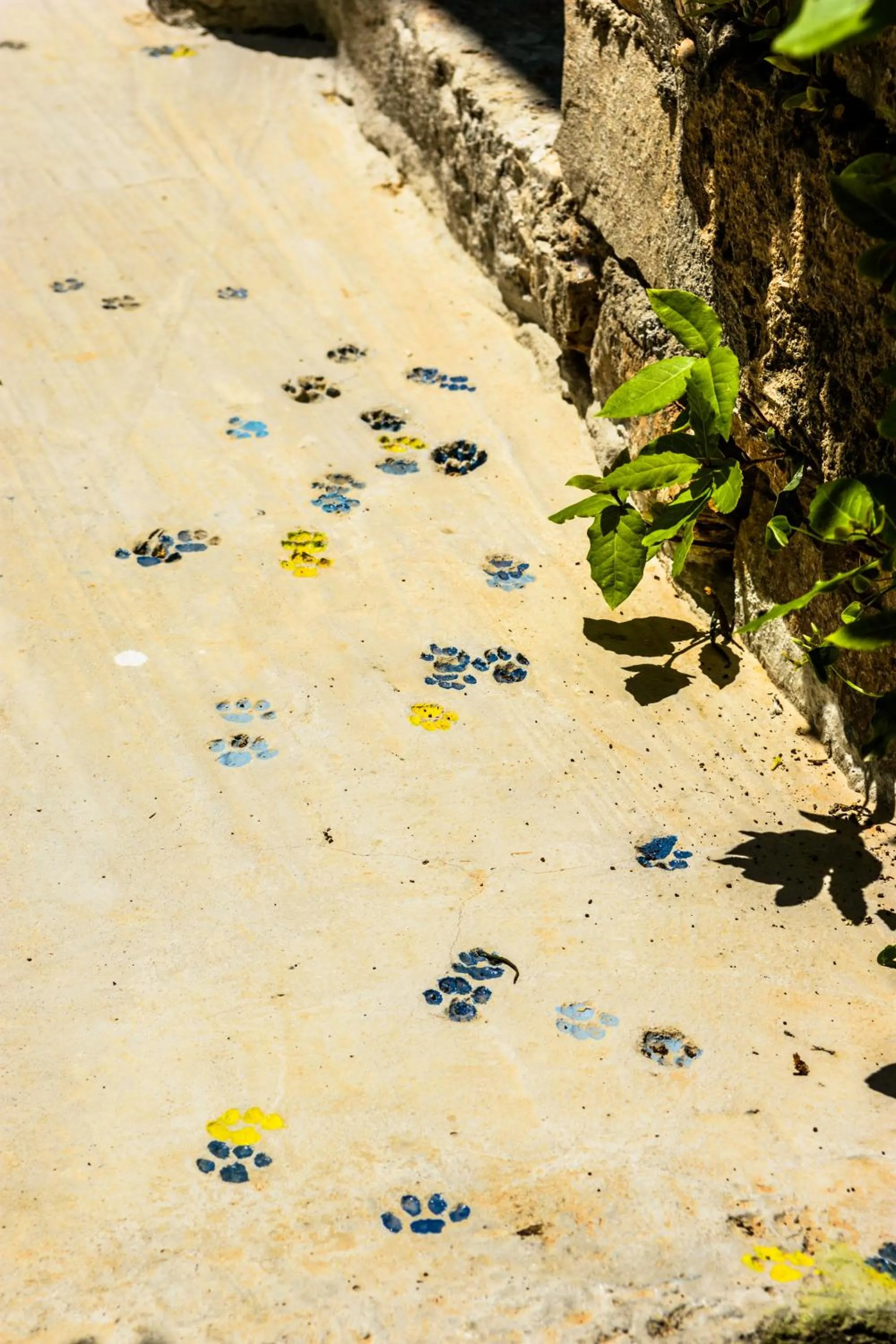 Decorative detail in Villa Olga