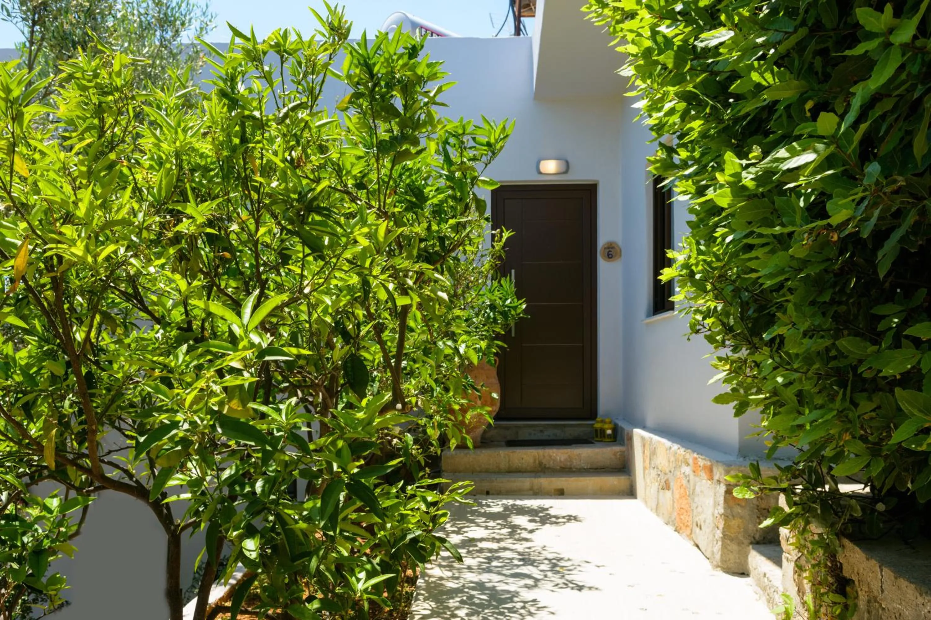 Garden in Villa Olga