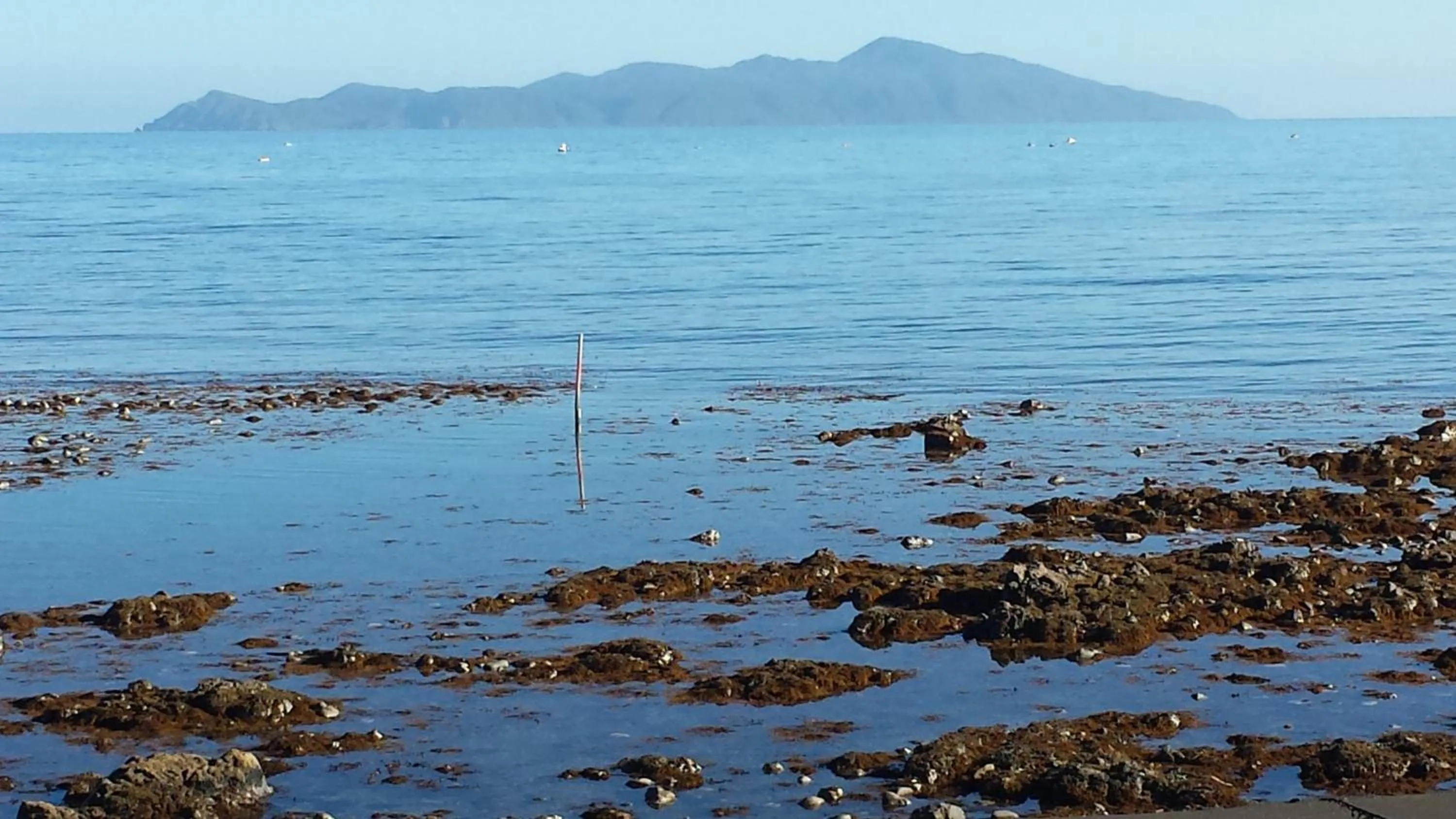 Natural landscape in Kapiti Waves Bed & Breakfast