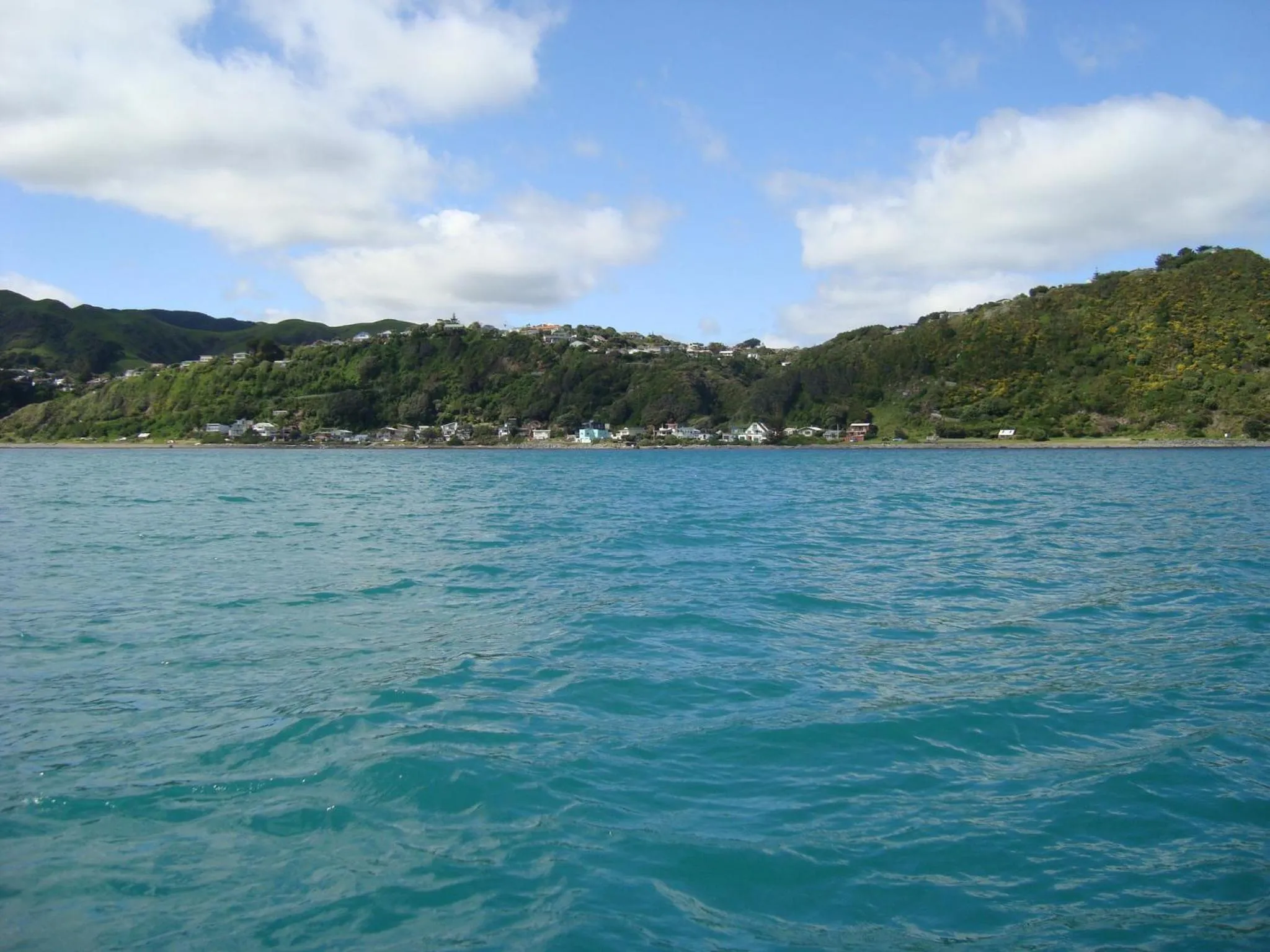 Neighbourhood in Kapiti Waves Bed & Breakfast