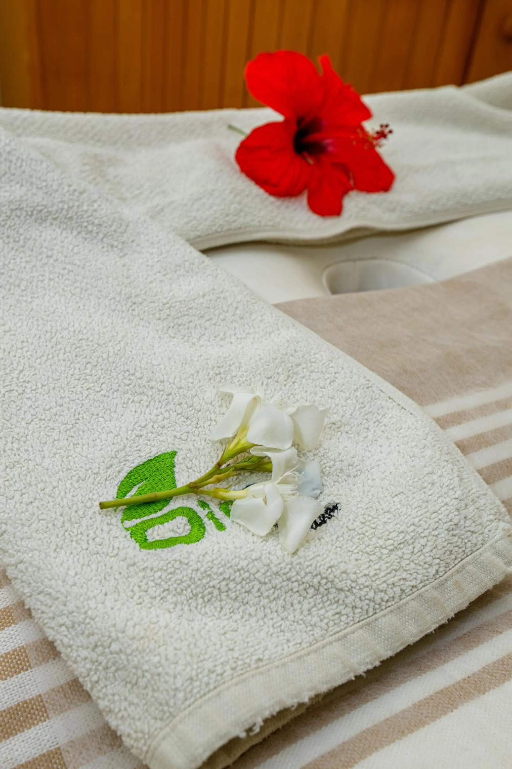 Spa and wellness centre/facilities in Iris Hotel & Thalasso