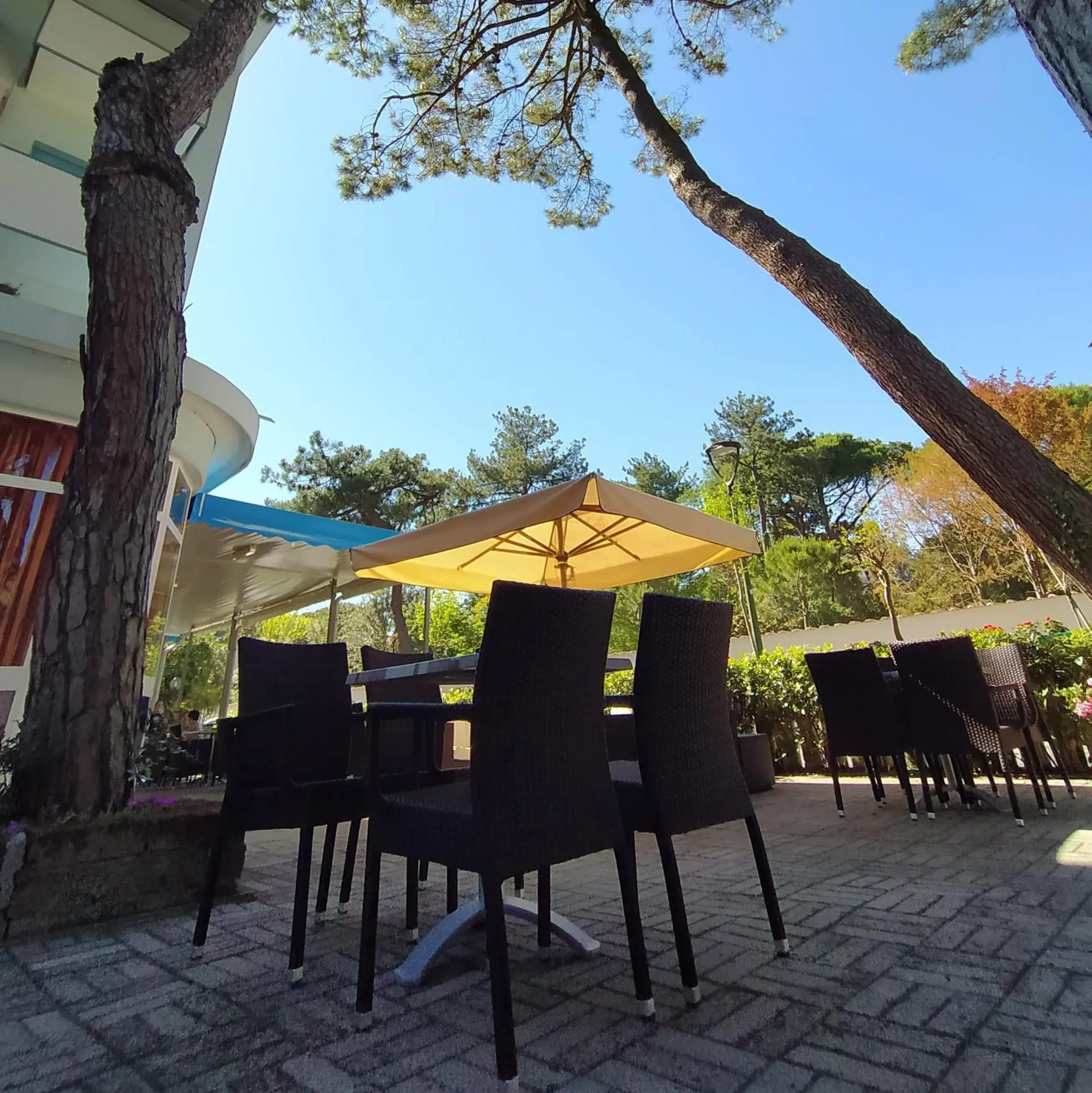 Garden, Restaurant/Places to Eat in Hotel Capri