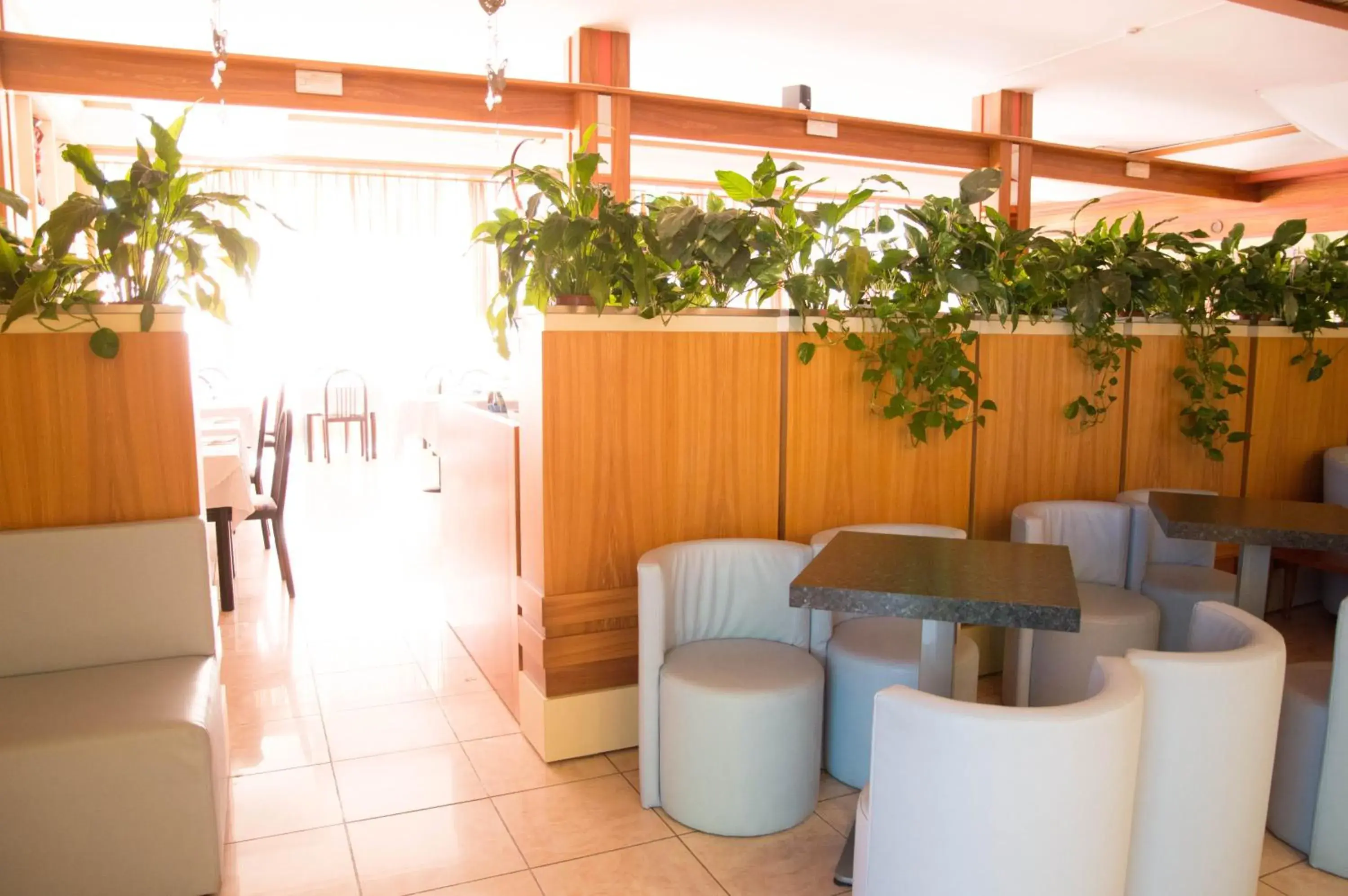 Lounge/Bar in Hotel Capri