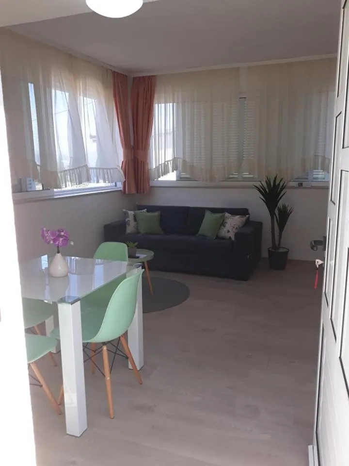 Apartments Viki