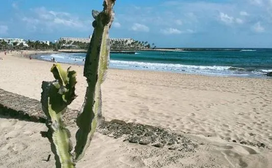 Villa Bella Lanzarote