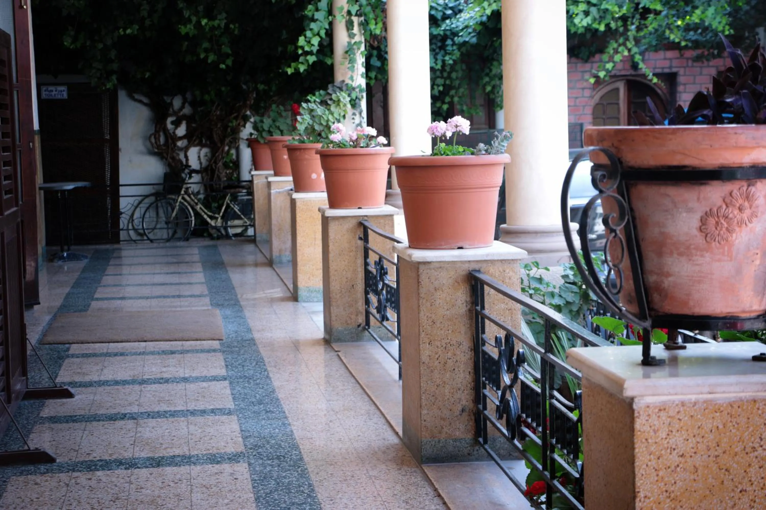Balcony/Terrace in Hotel Saint Georges Tunis